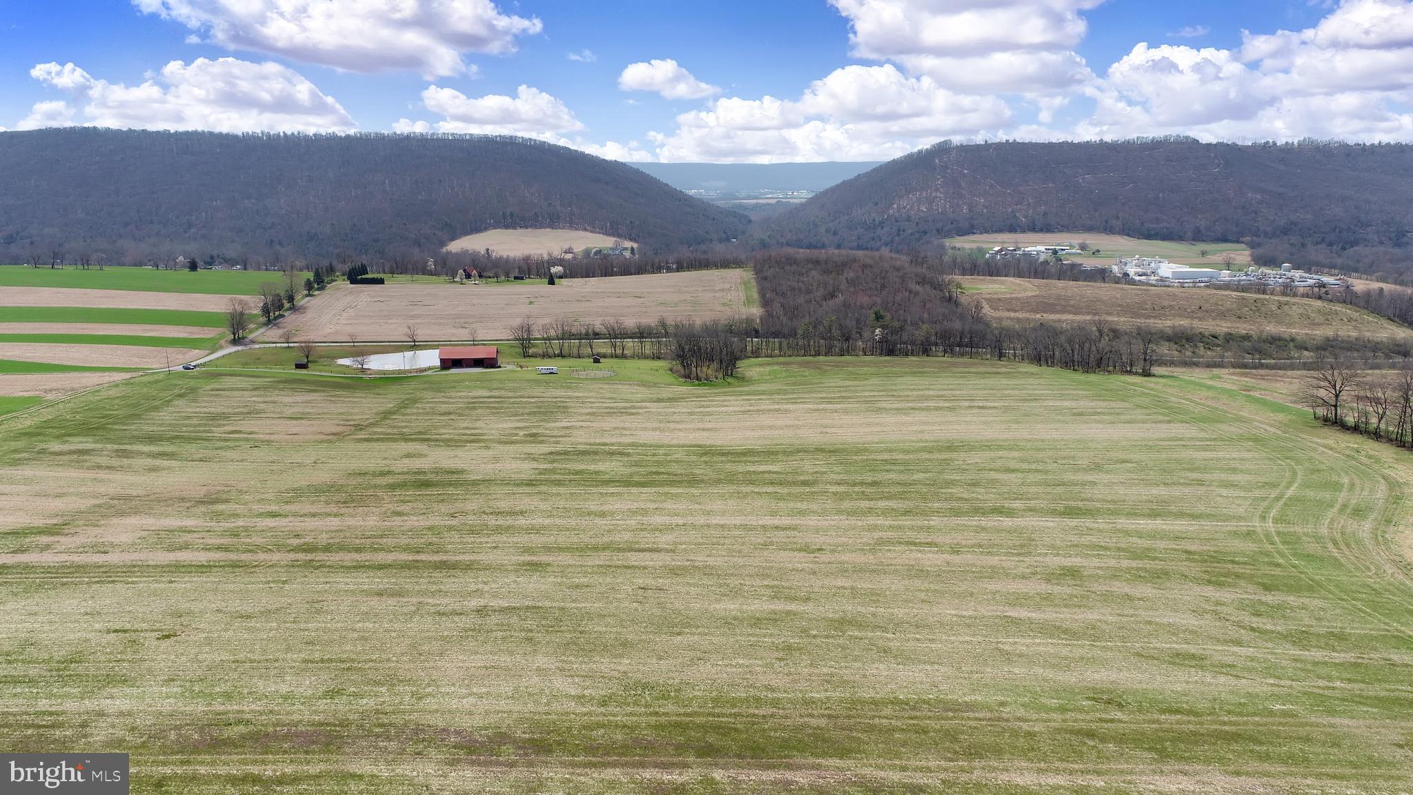 NONE AVAILABLE - Farm