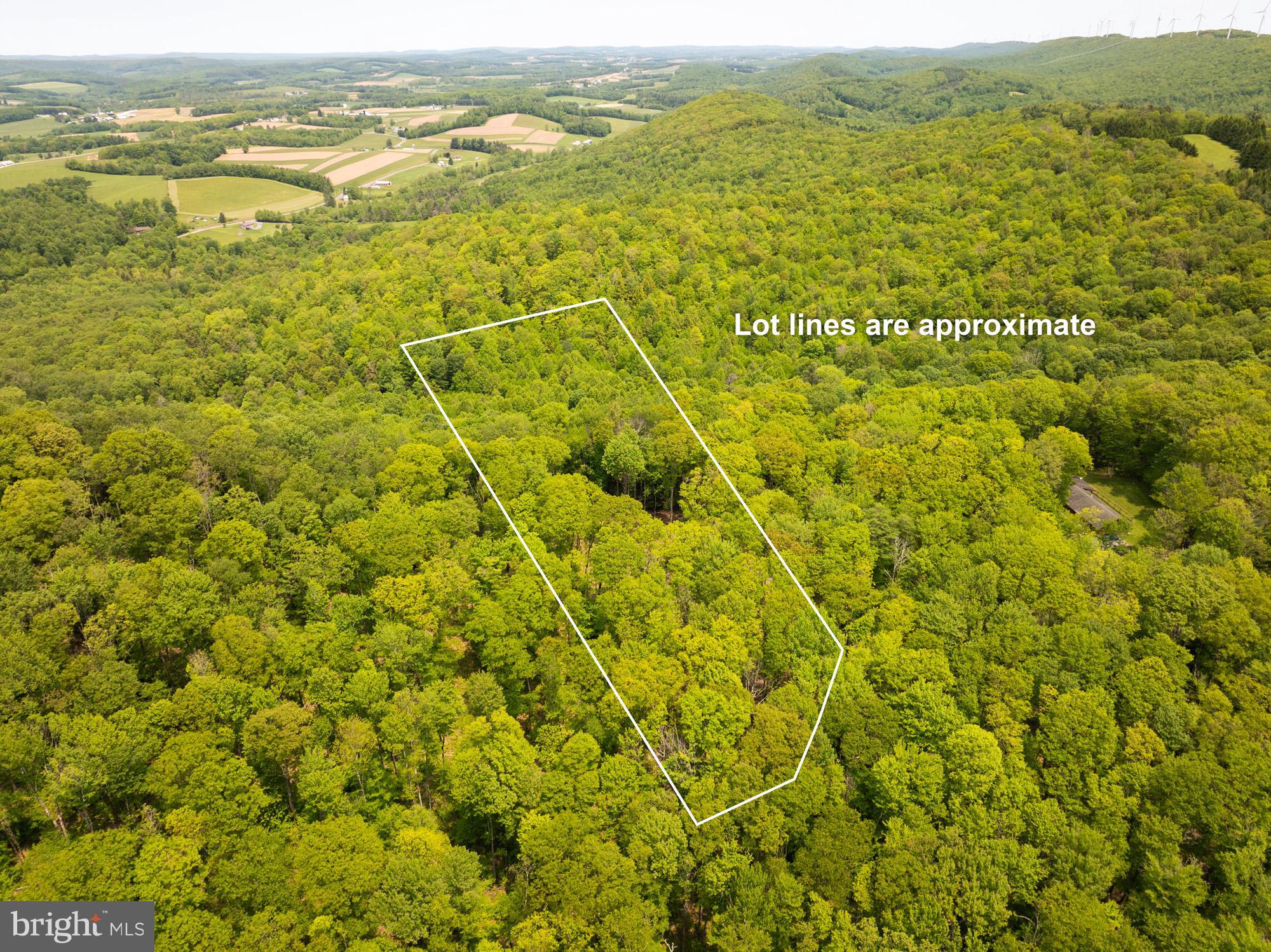 Welcome to Backbone Ridge, where privacy, natural beauty, and mountain living converge. This 2.71-acre parcel is perfectly situated near the highest point in Maryland, offering breathtaking mountain views and a tranquil, secluded setting.
Located in one of the region’s most desirable areas, this property is ready for your dream home. The homesite is already cleared, a gravel driveway in place, and the lot is approved for a 3-bedroom septic system (perc test on file). Electric is available at the property line, making your building process that much easier.
Whether you're planning a full-time residence or a peaceful weekend escape, Backbone Ridge provides the ideal canvas. With its unspoiled surroundings and development-ready features, this is a rare opportunity to own land in a quiet, scenic mountain community.
Don’t miss your chance to build in Backbone Ridge—where your mountain getaway begins.