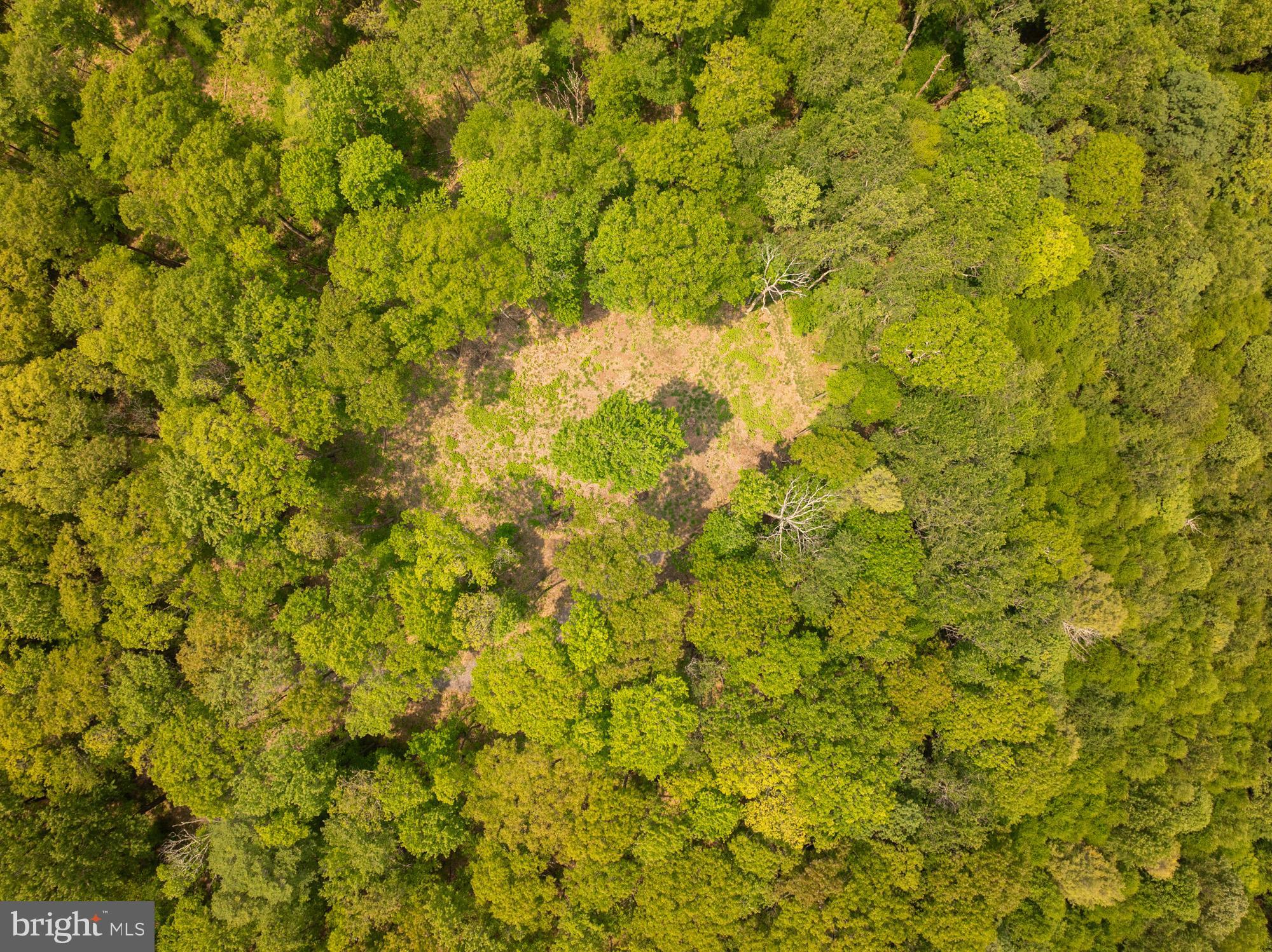 Lot 15 LITTLE MOUNTAIN ROAD