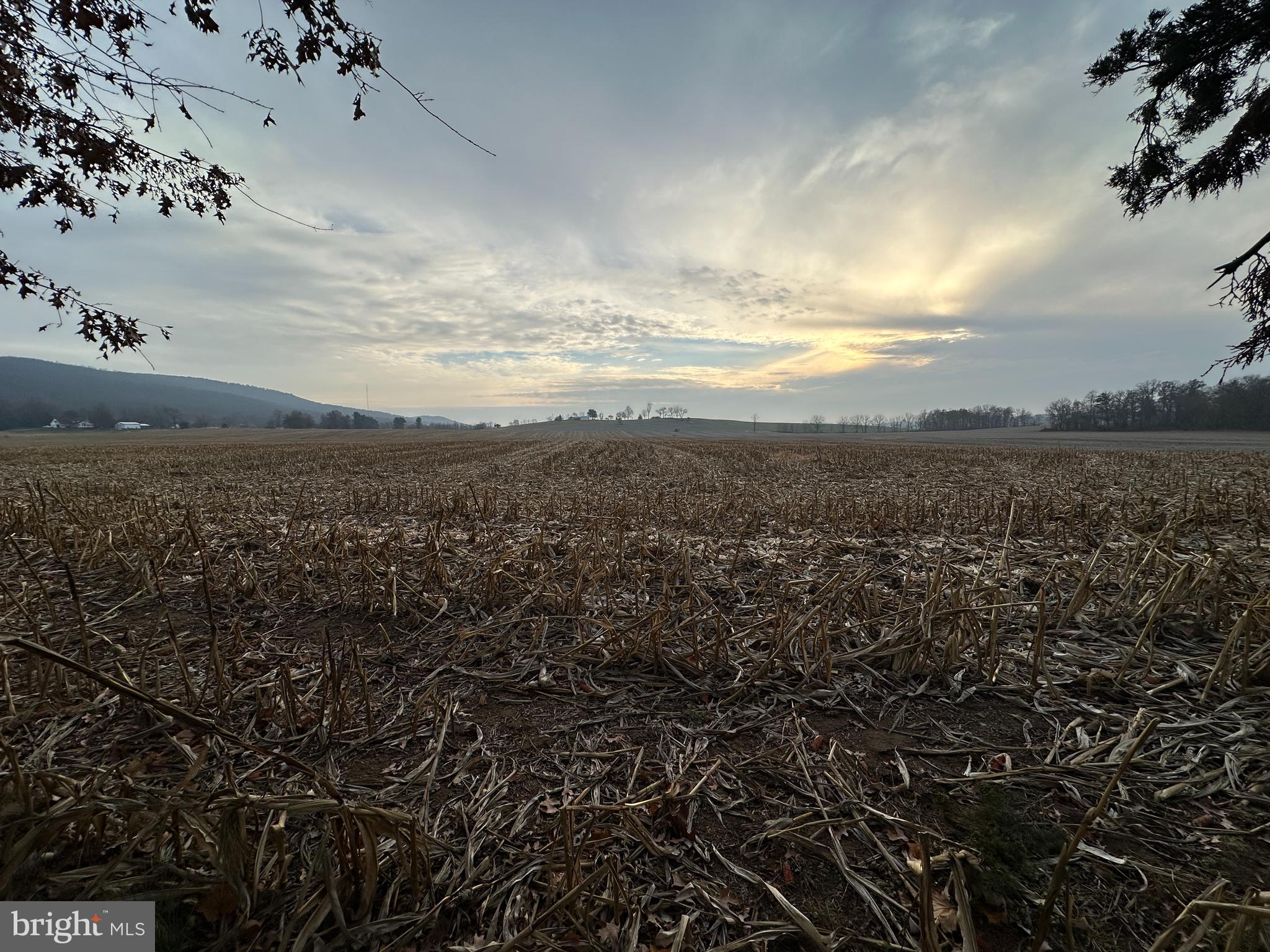 MONT ALTO BOROUGH - Residential
