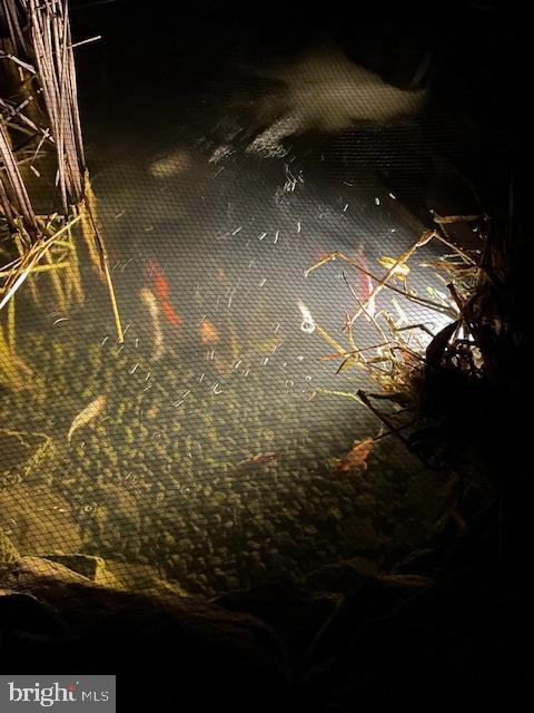 SHANNON RUN - Residential