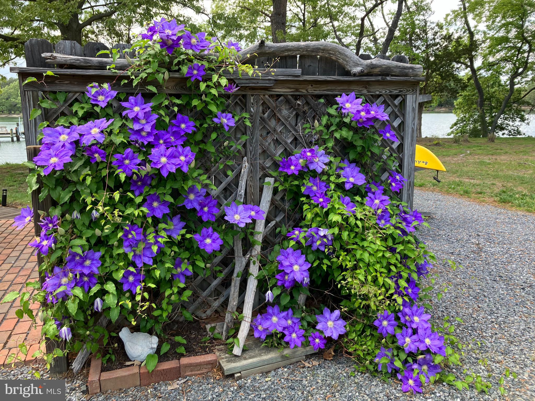 BOZMAN - Residential