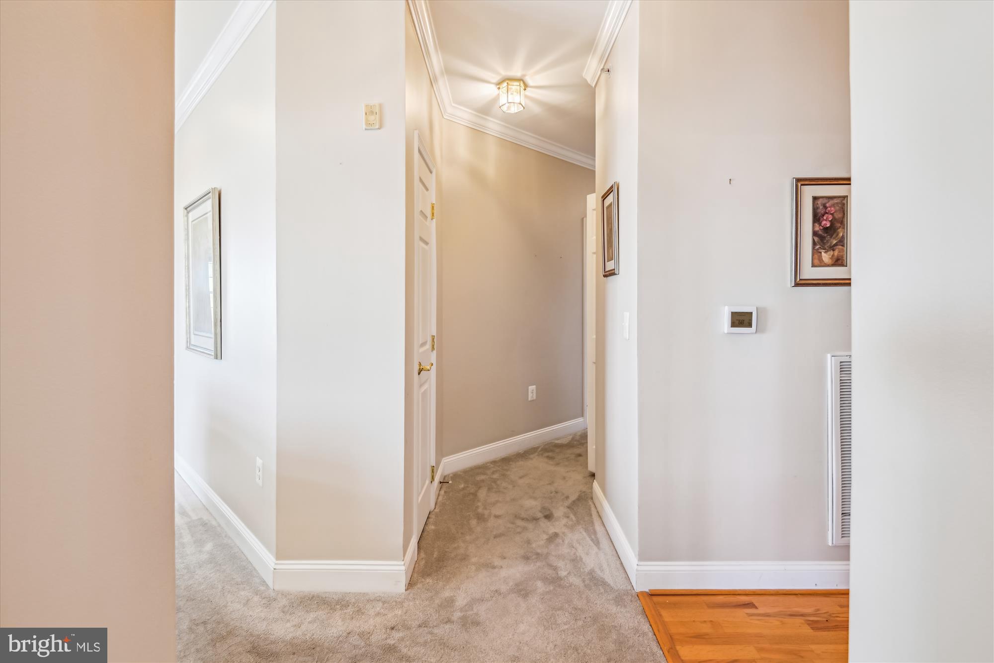 ENCLAVE AT ELLICOTT HILLS - Residential