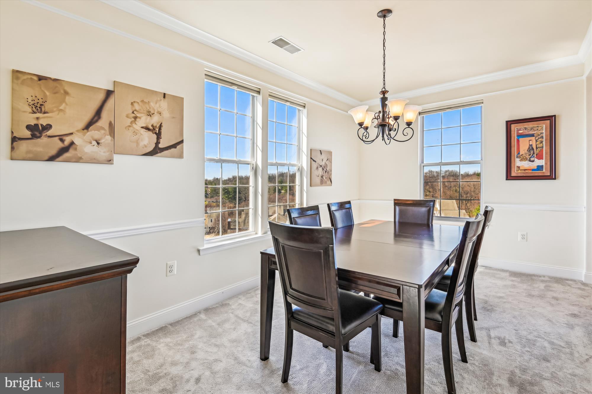 ENCLAVE AT ELLICOTT HILLS - Residential