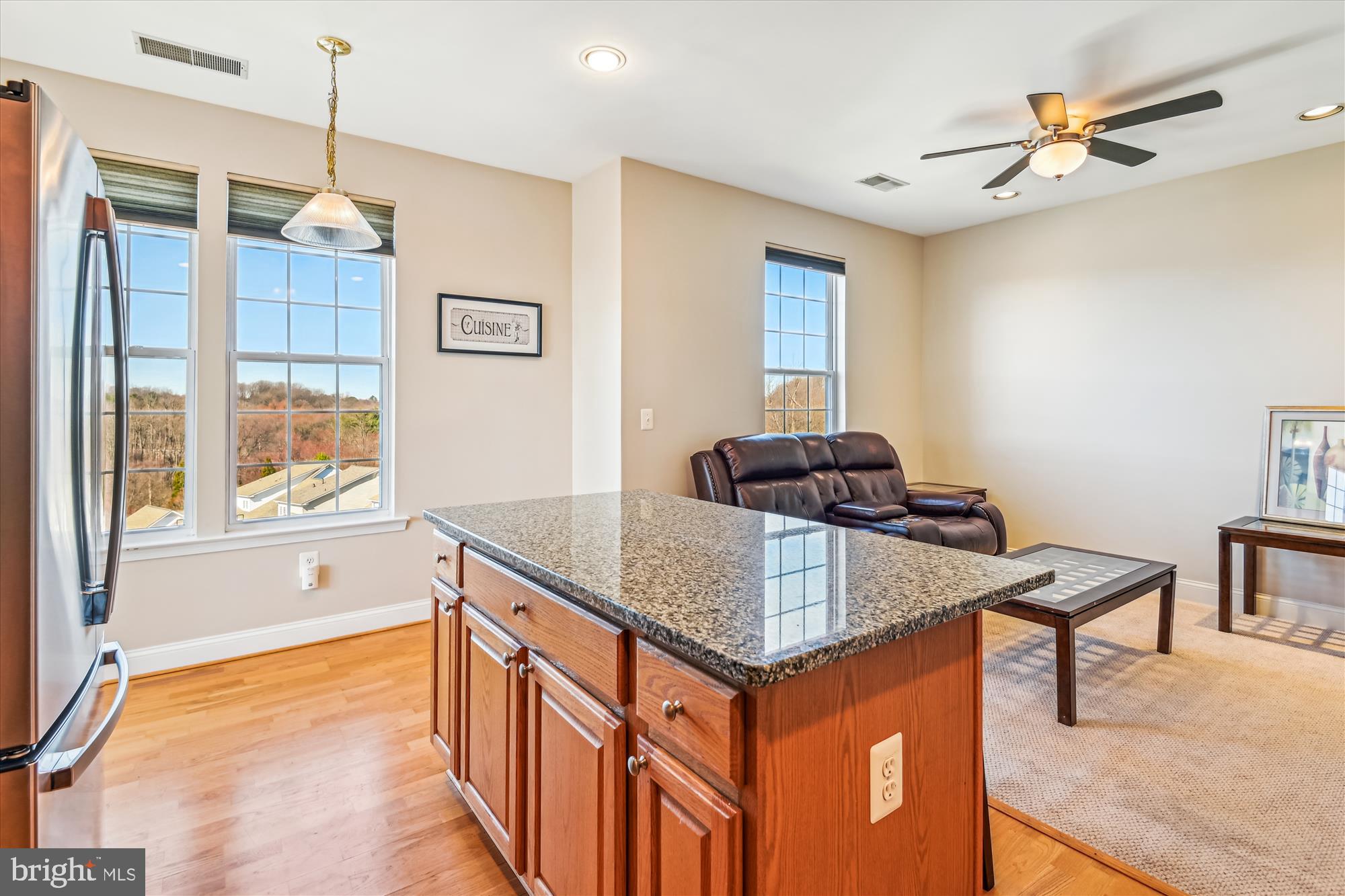 ENCLAVE AT ELLICOTT HILLS - Residential