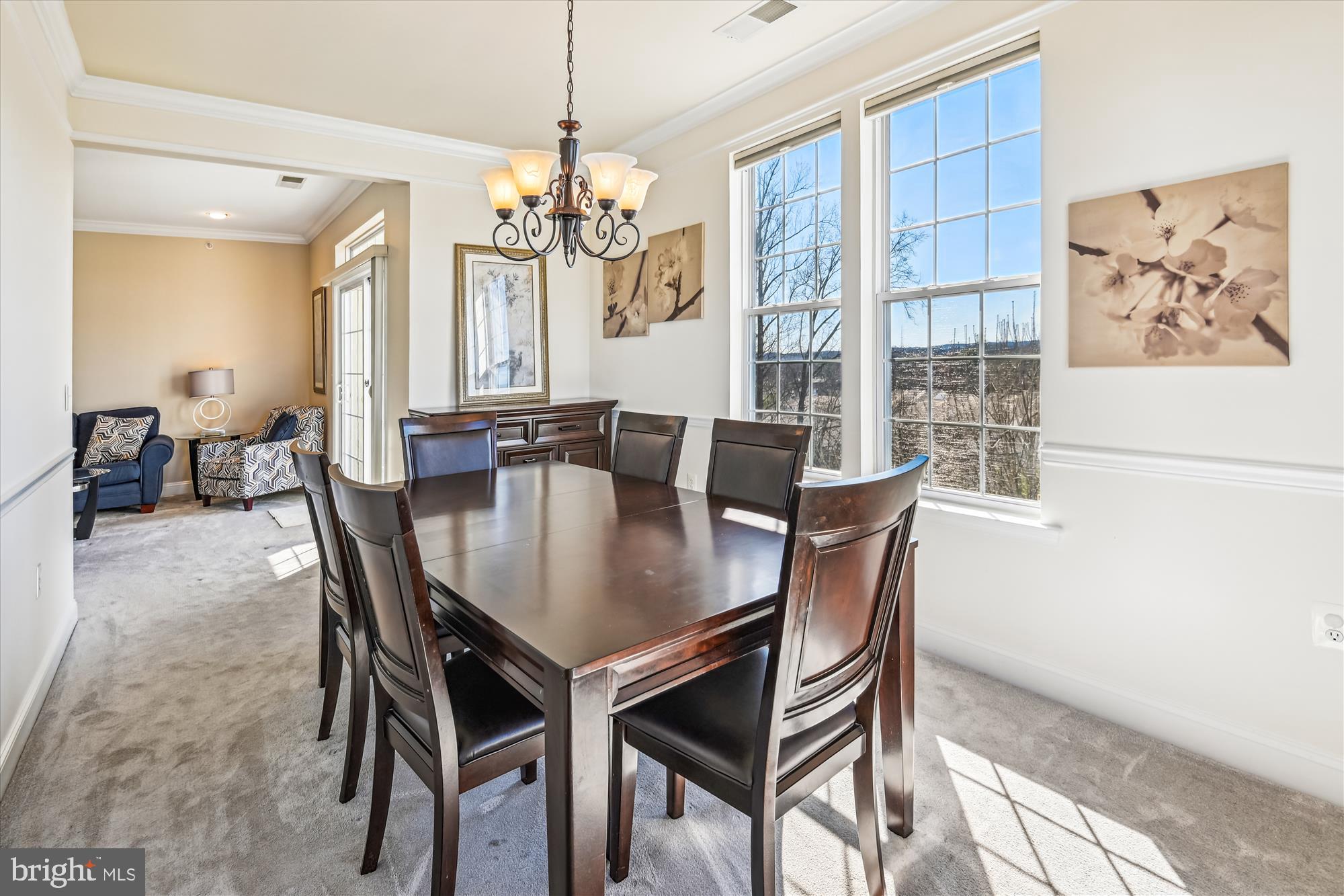 ENCLAVE AT ELLICOTT HILLS - Residential