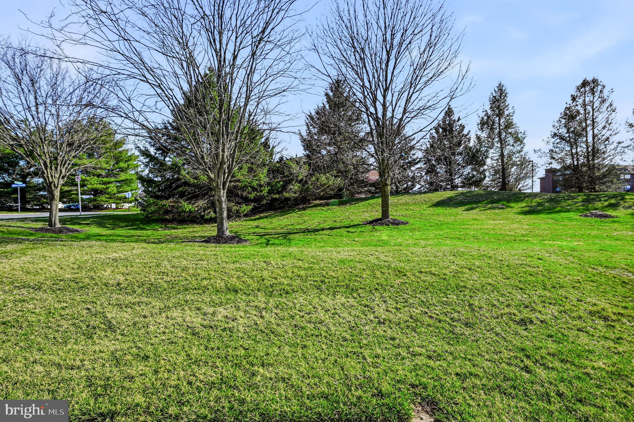 VILLAGE OF ROSE VIEW - Residential