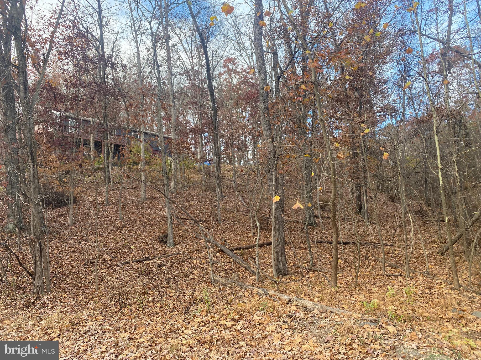 LAKE HOLIDAY ESTATES - Land