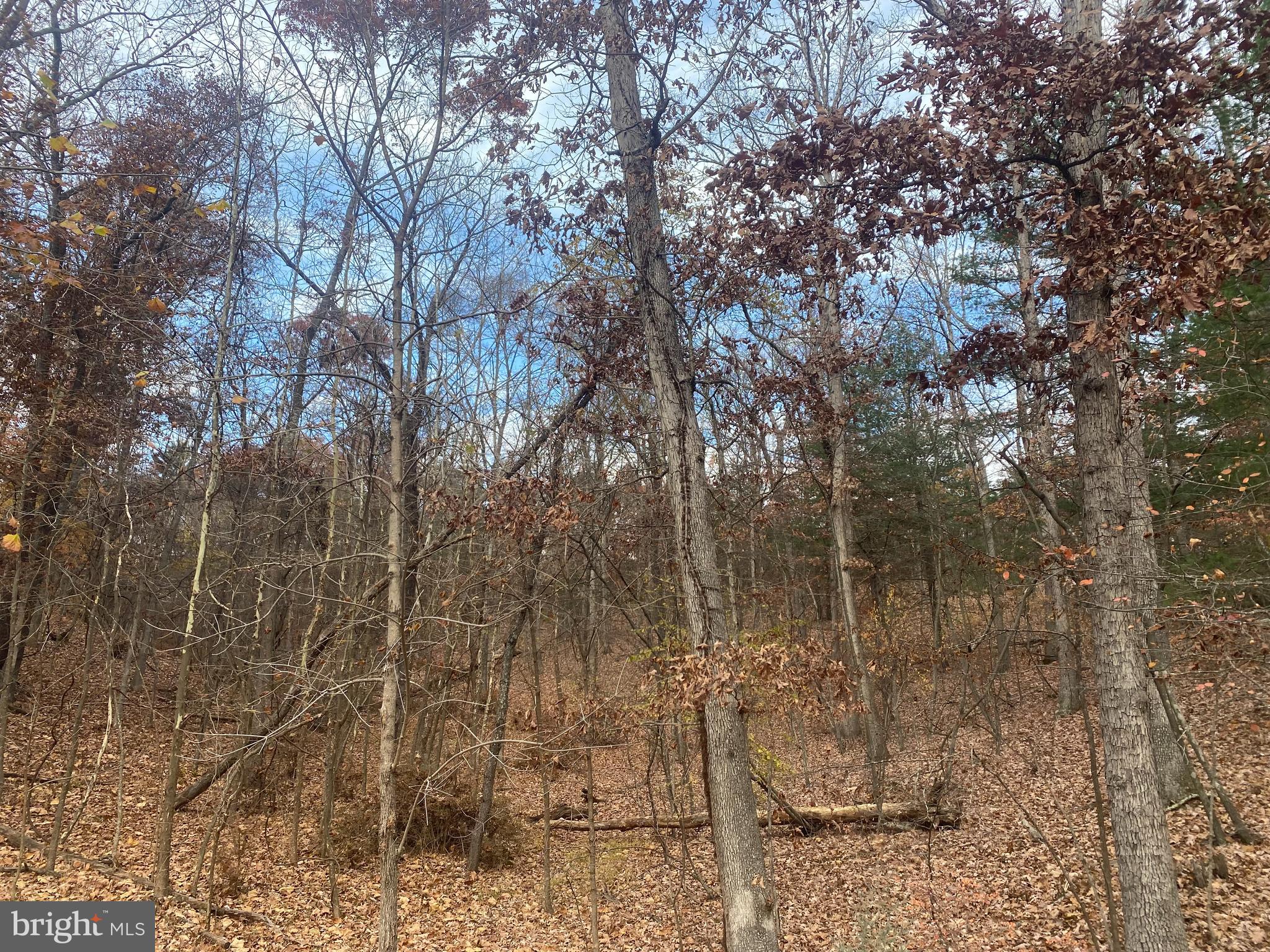 LAKE HOLIDAY ESTATES - Land