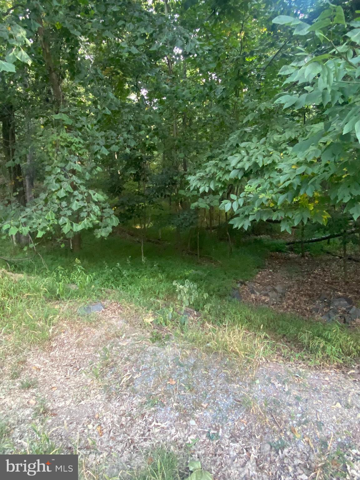 LAKE HOLIDAY ESTATES - Land