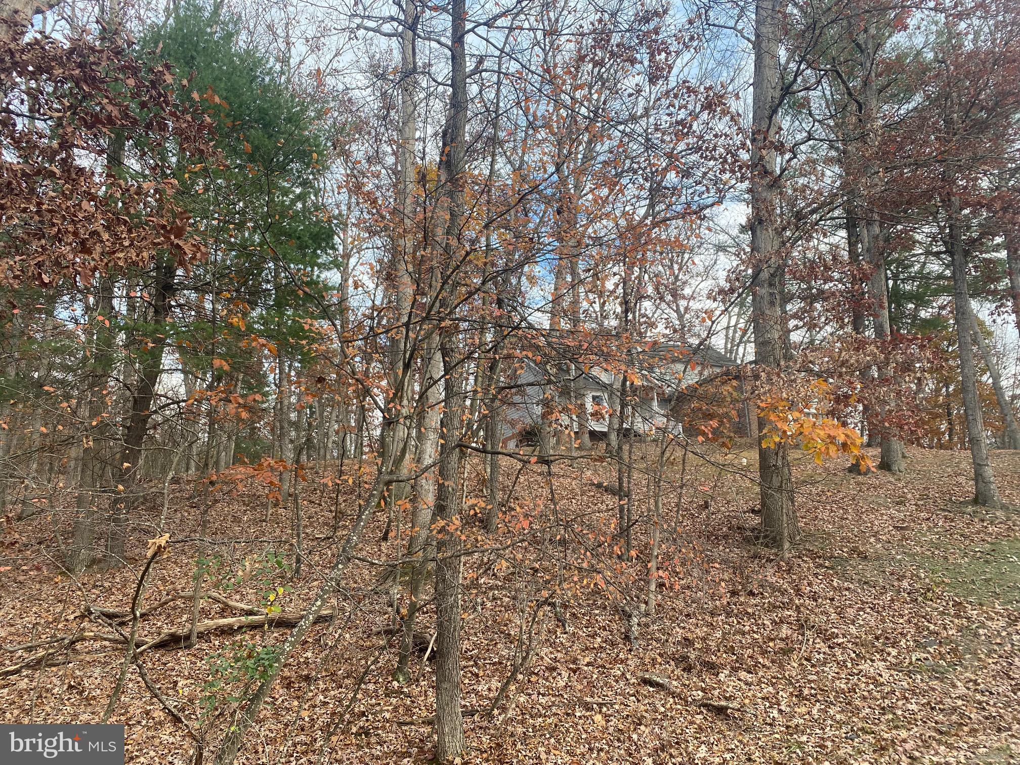 LAKE HOLIDAY ESTATES - Land