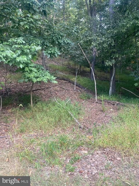 Vacant Land For Sale - 1116 Lakeview Drive<br/> Frederick County, CROSS JUNCTION, VA 22625