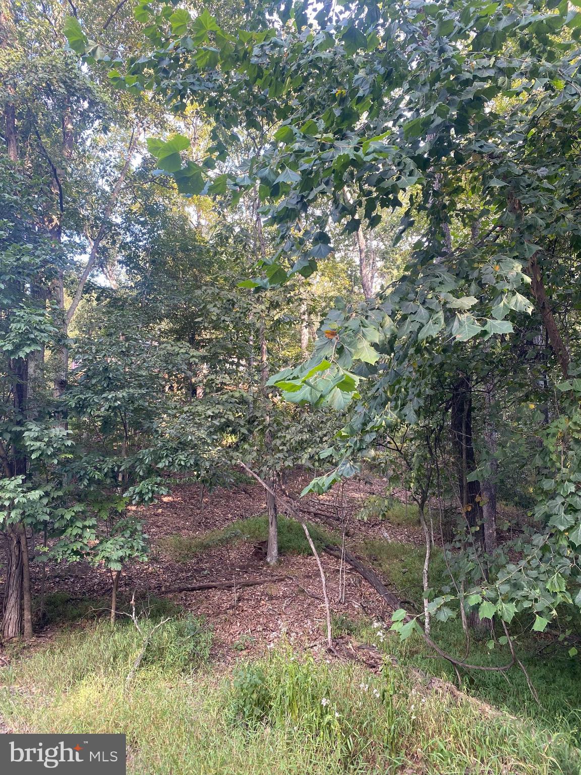 LAKE HOLIDAY ESTATES - Land