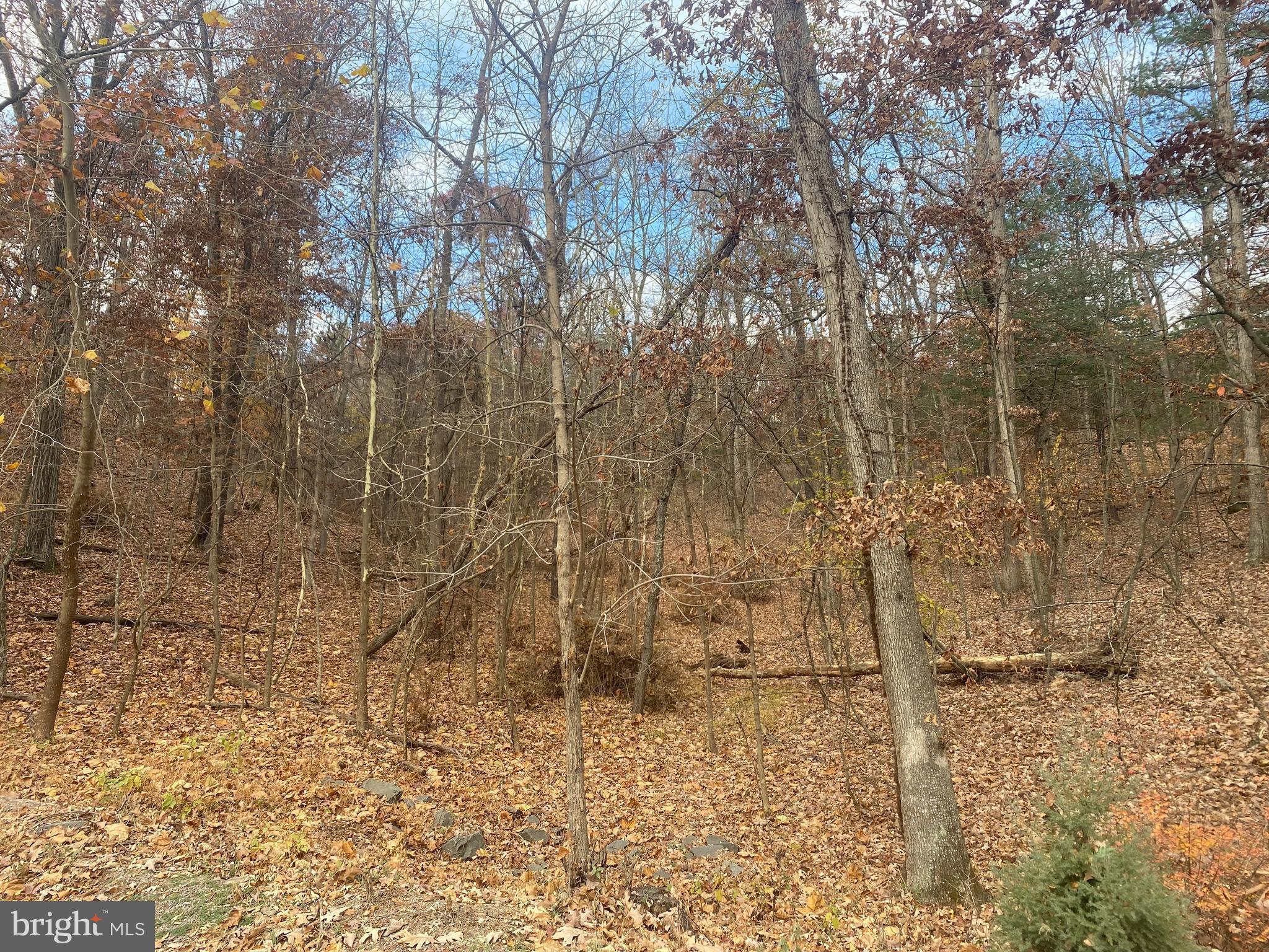 LAKE HOLIDAY ESTATES - Land