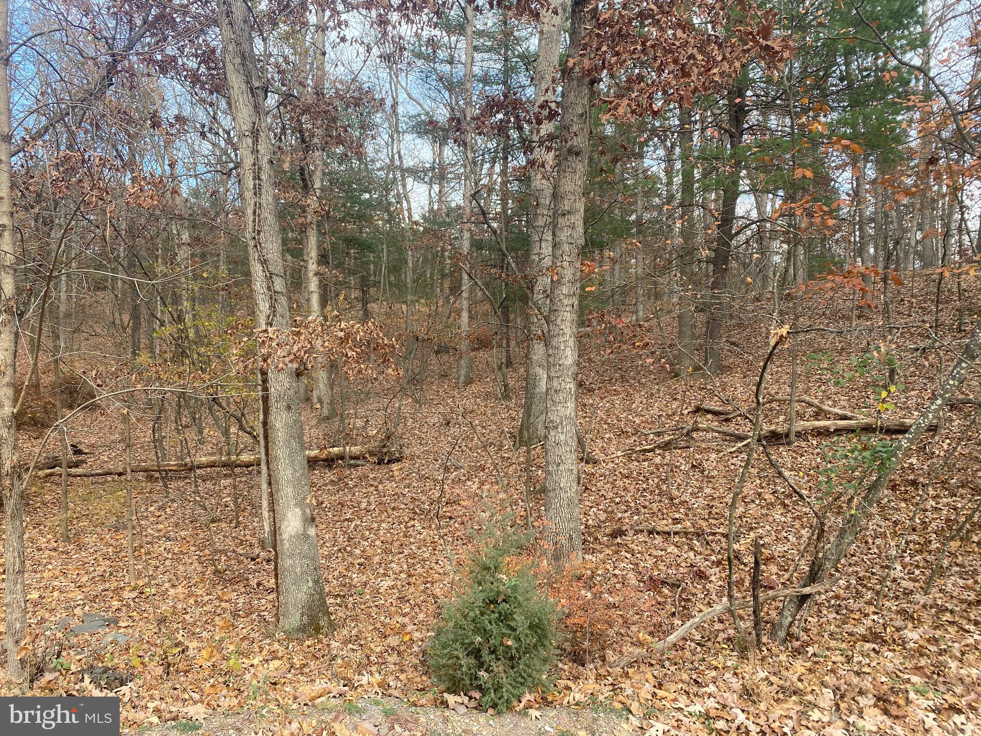 LAKE HOLIDAY ESTATES - Land