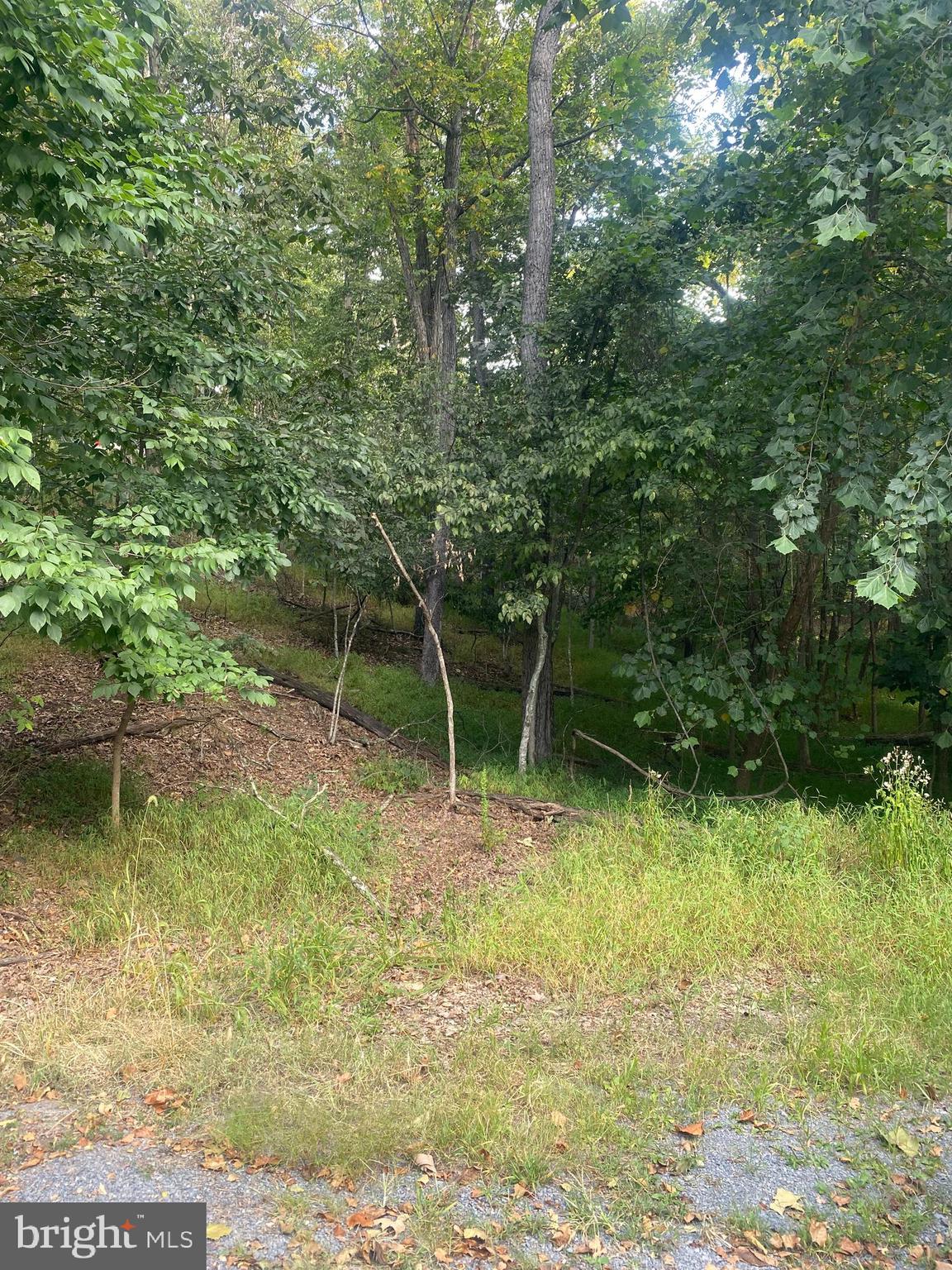 LAKE HOLIDAY ESTATES - Land