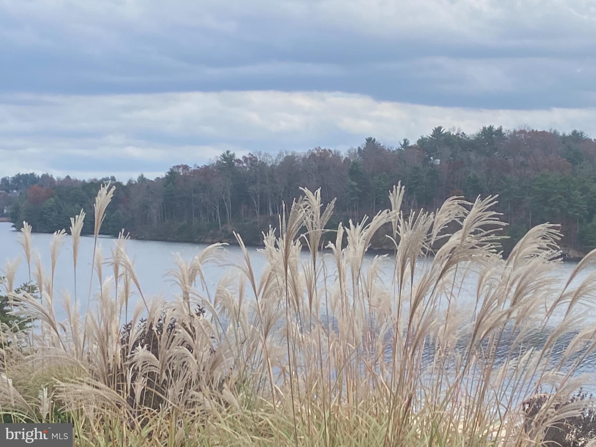 LAKE HOLIDAY ESTATES - Land