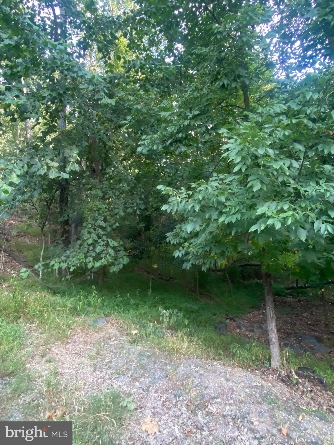 LAKE HOLIDAY ESTATES - Land