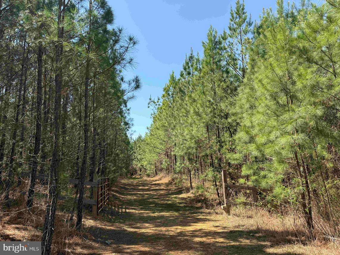 DABNEY HOUSE RD.-(TRACT: PITTSYLVANIA COMPTON-2)