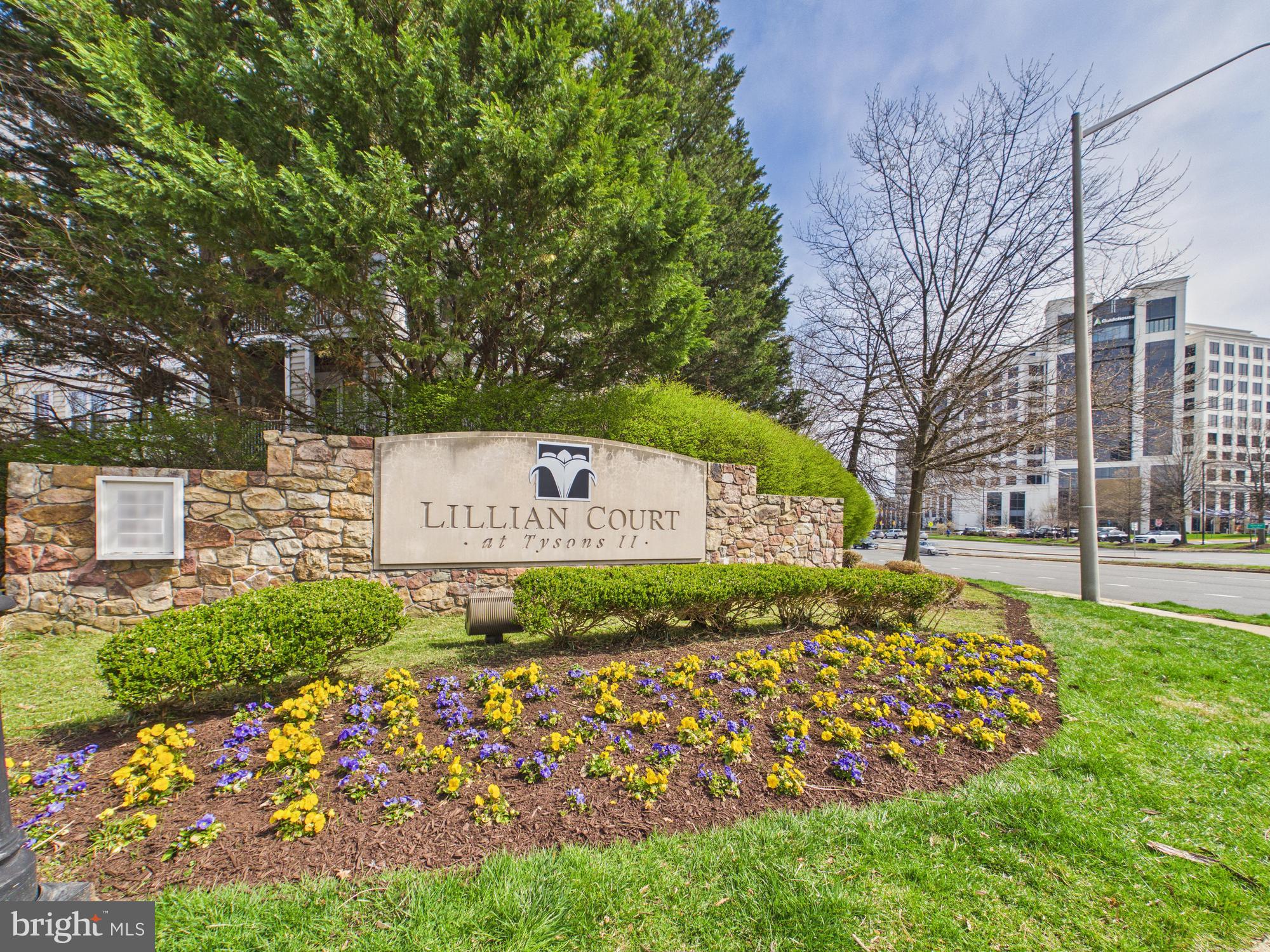 LILLIAN COURT AT TYSONS 11 - Residential