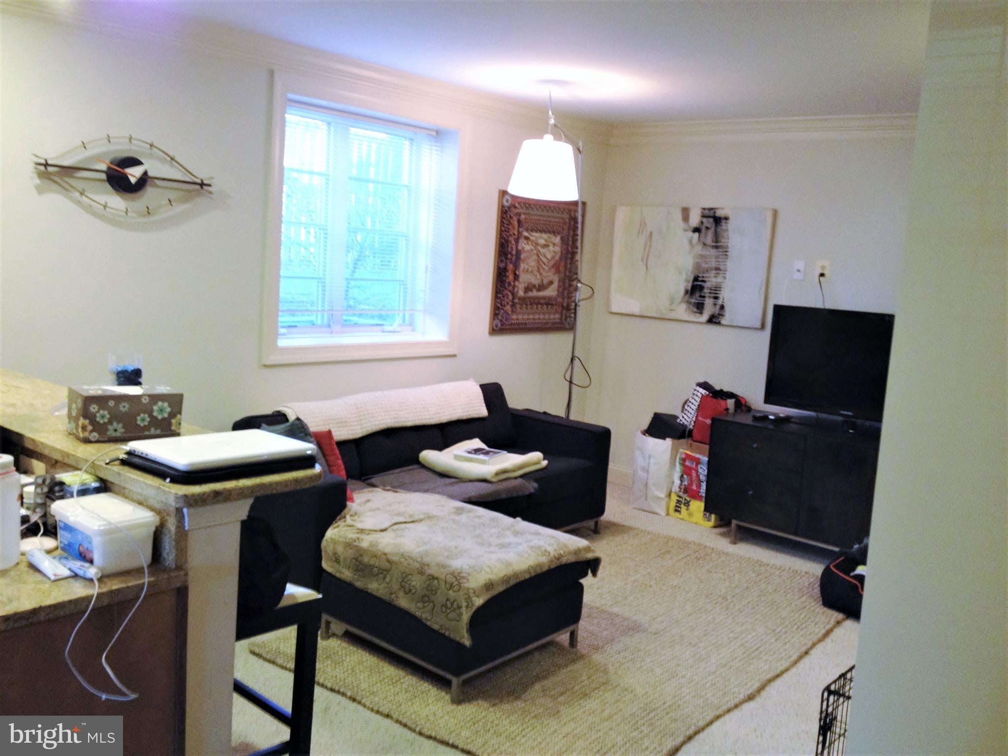 1219 ORONOCO STREET 103