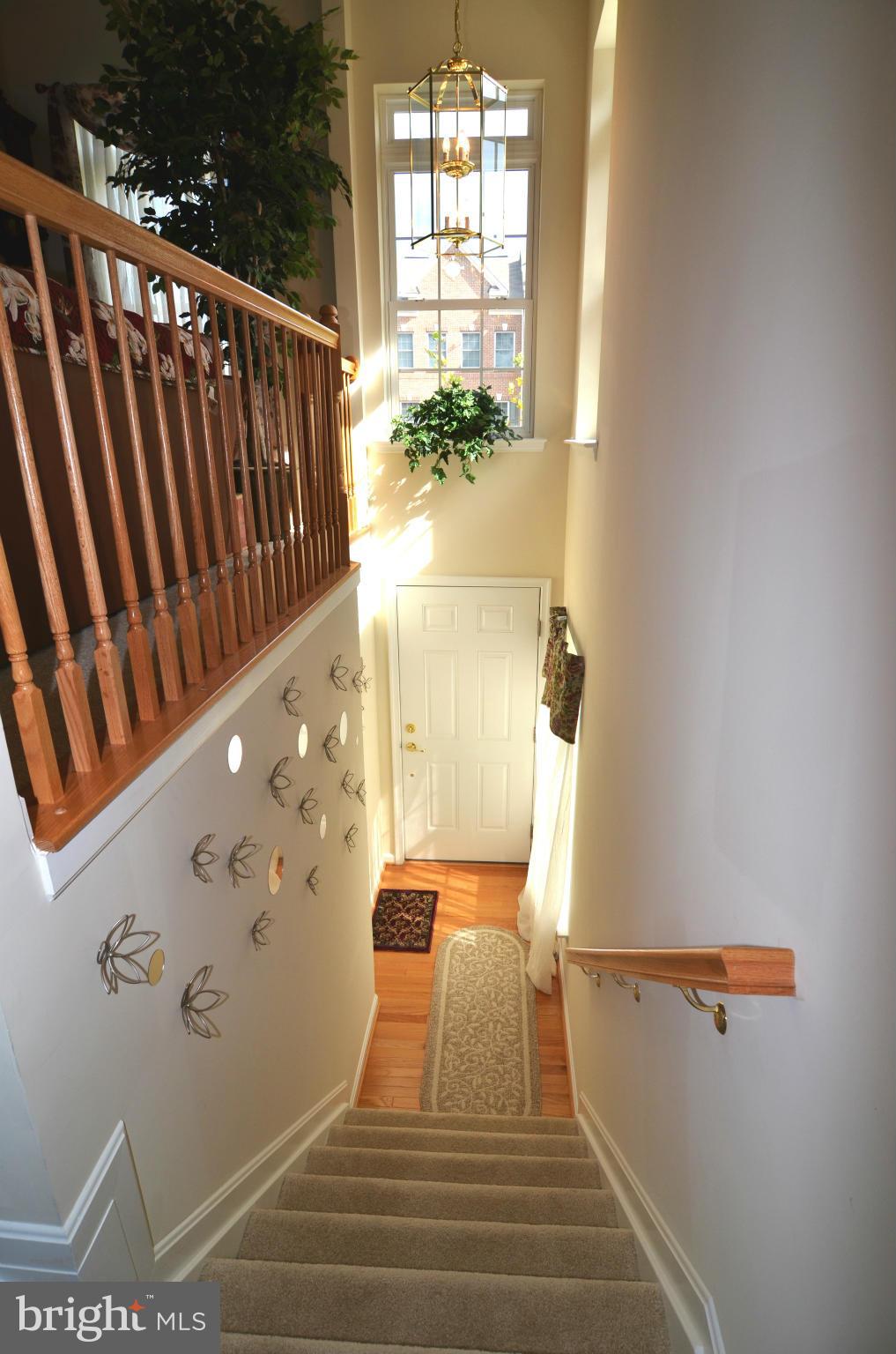 ST CHARLES SUB - SHEFFIELD - Residential Lease