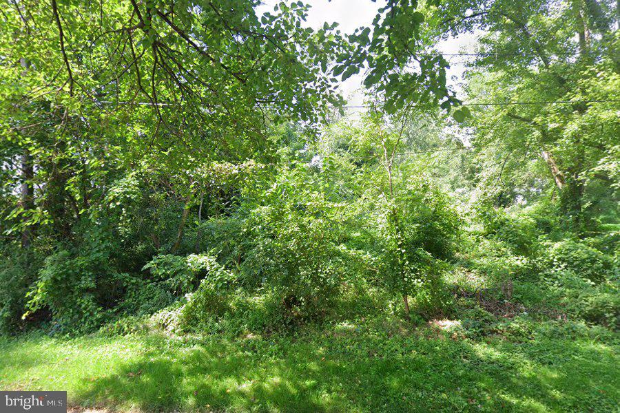 305 POPLAR AVENUE