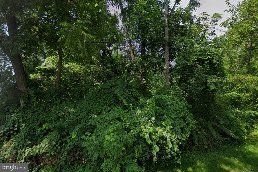 305 POPLAR AVENUE