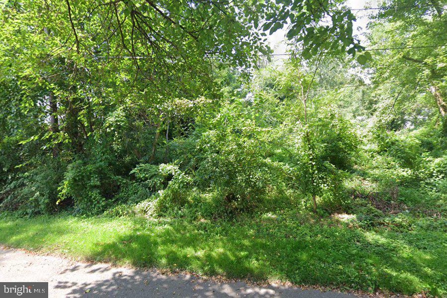 305 POPLAR AVENUE