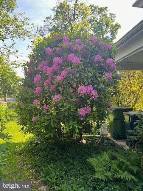 ELLIGER PARK - Residential