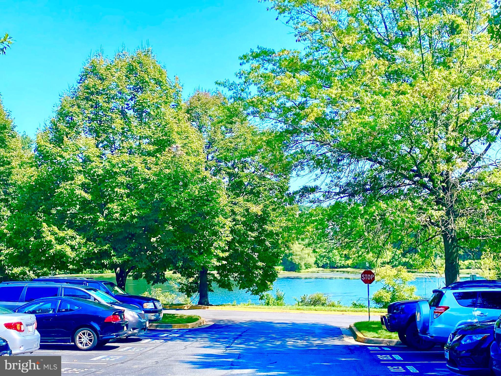 GUNNERS LAKE VILLAGE - Residential