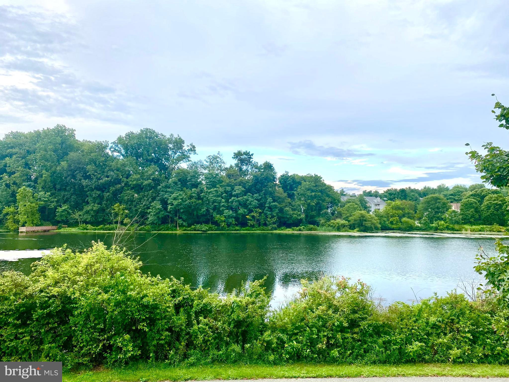 GUNNERS LAKE VILLAGE - Residential