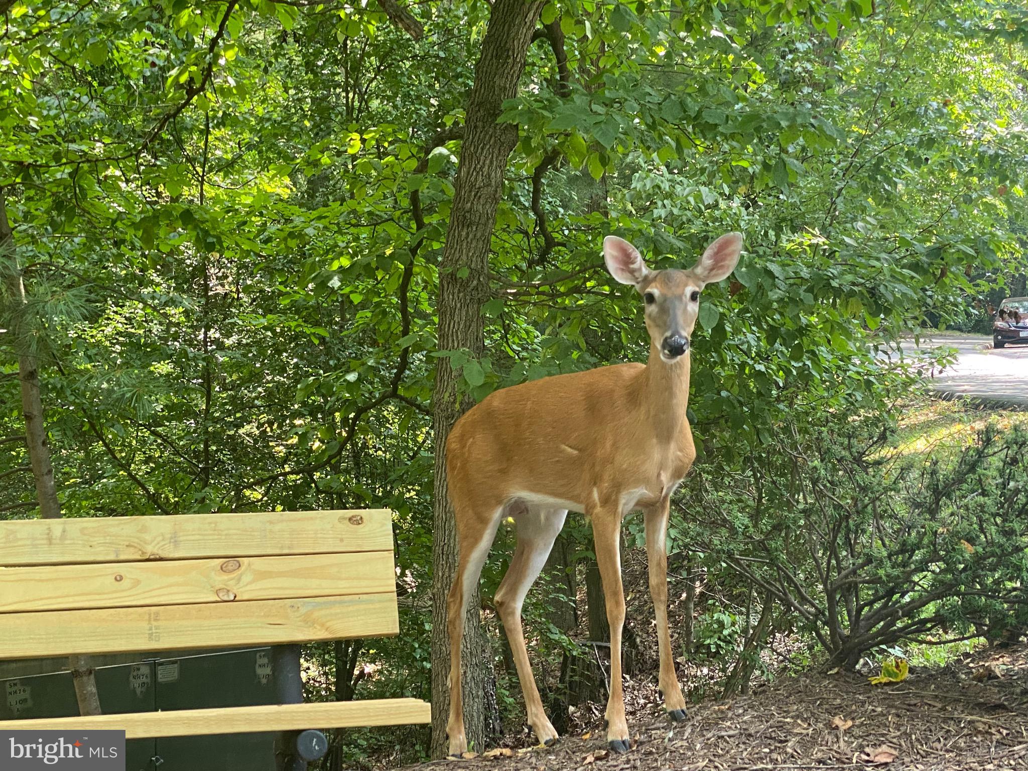 GENERATION - Residential