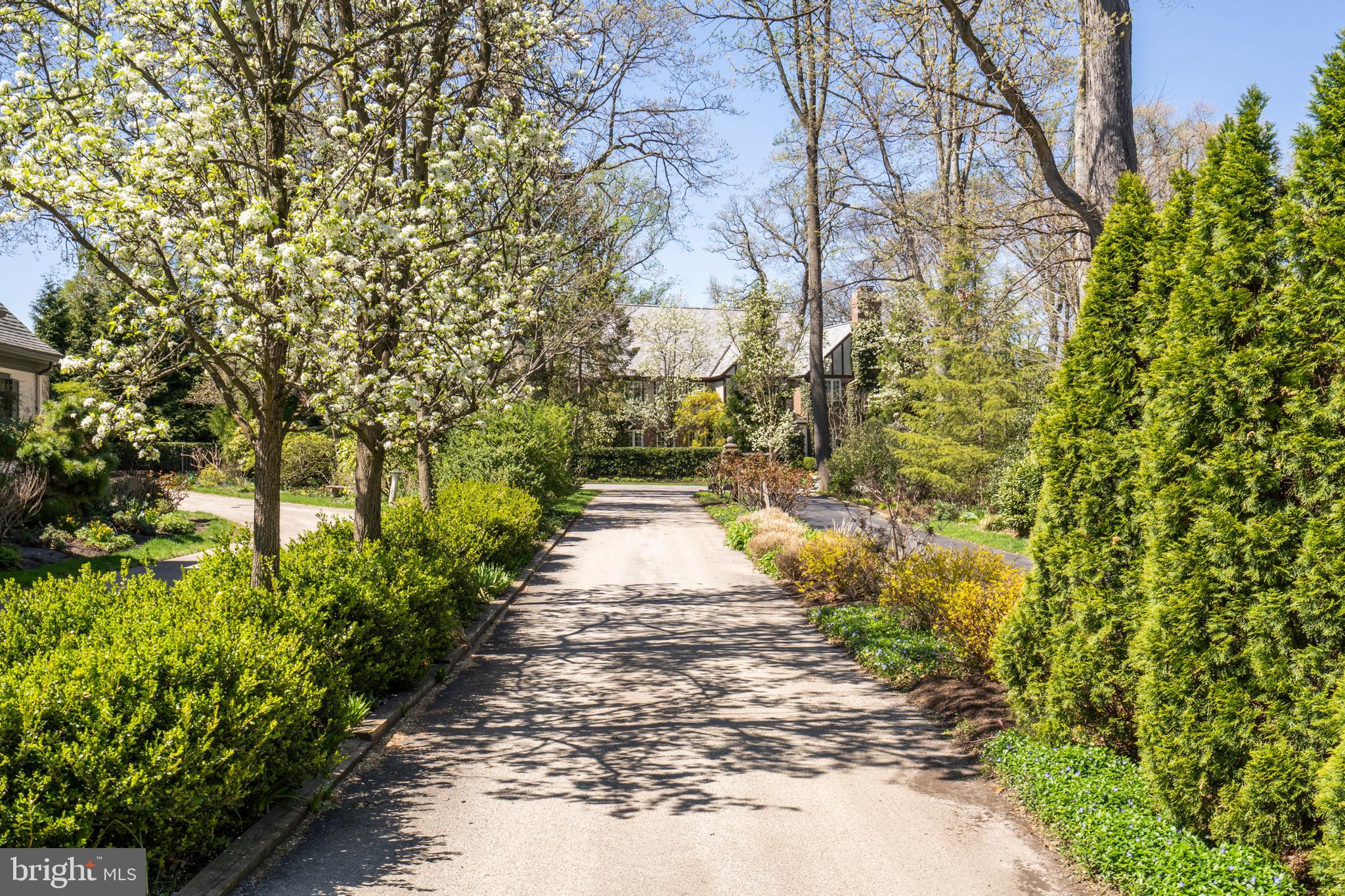 BRYN MAWR - Residential