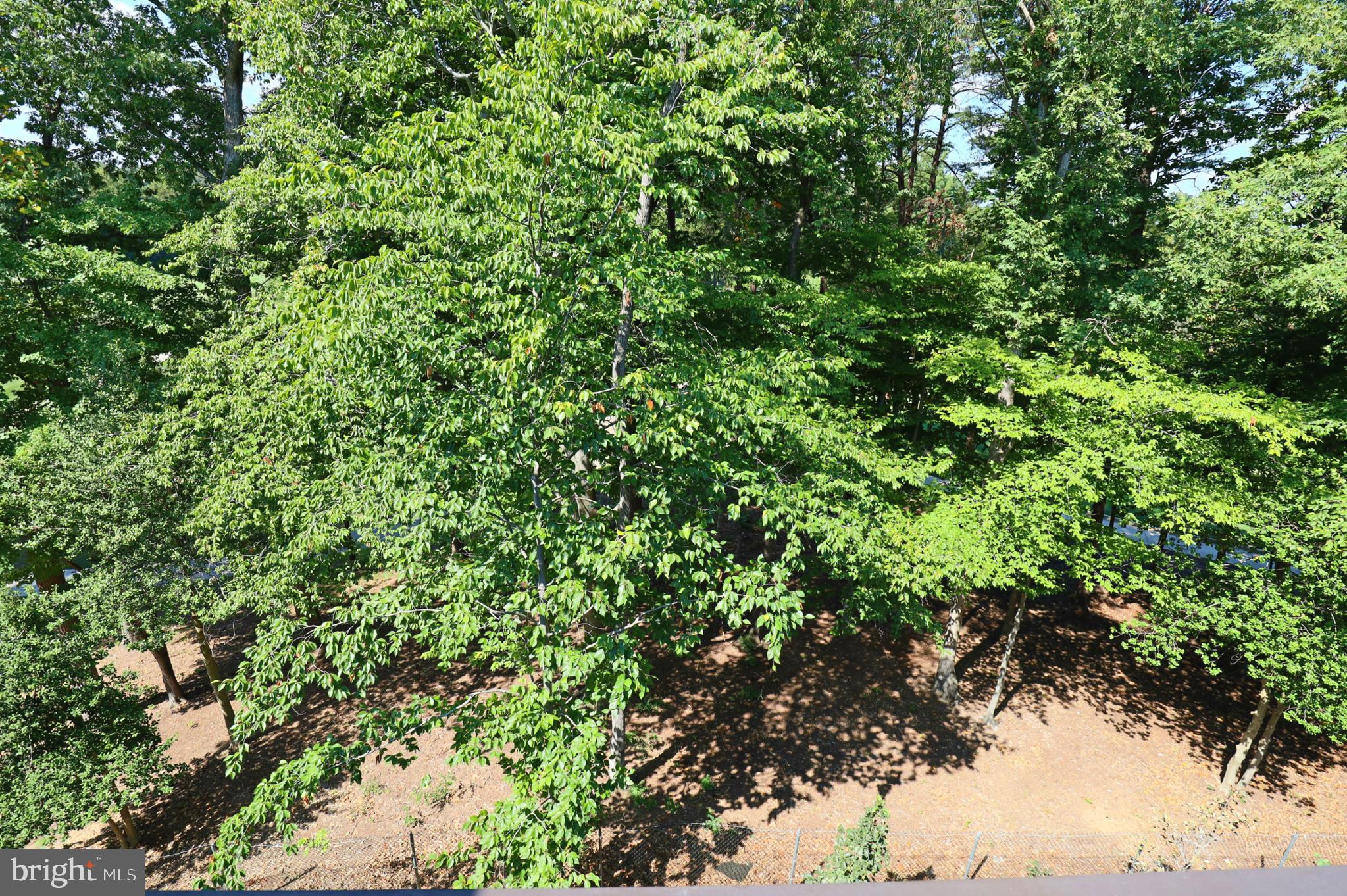 SUTTON HEIGHTS - Residential Lease