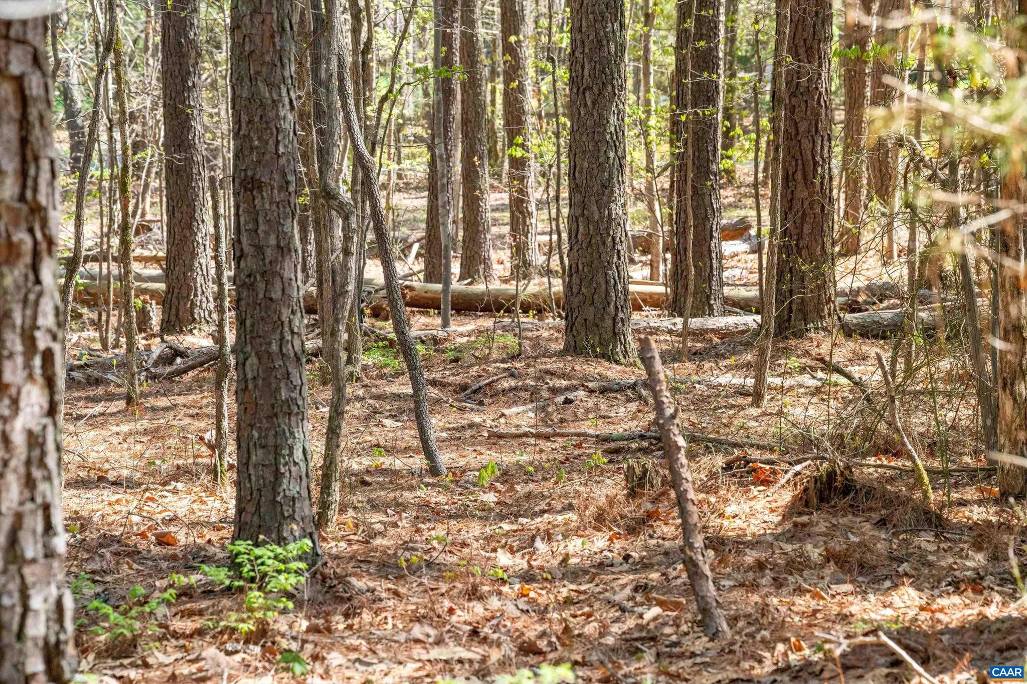 SADDLEWOOD FARMS - Land