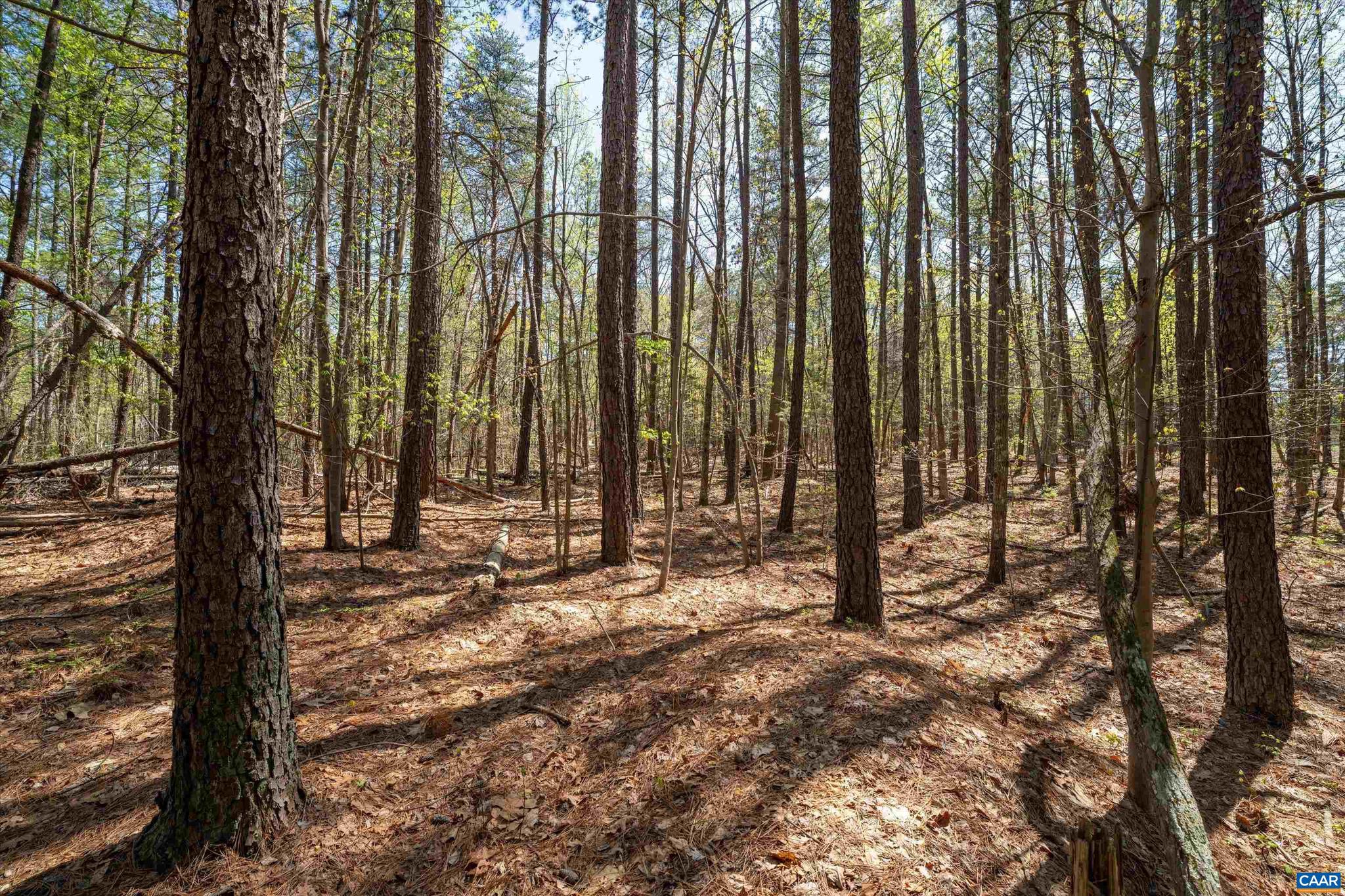 SADDLEWOOD FARMS - Land