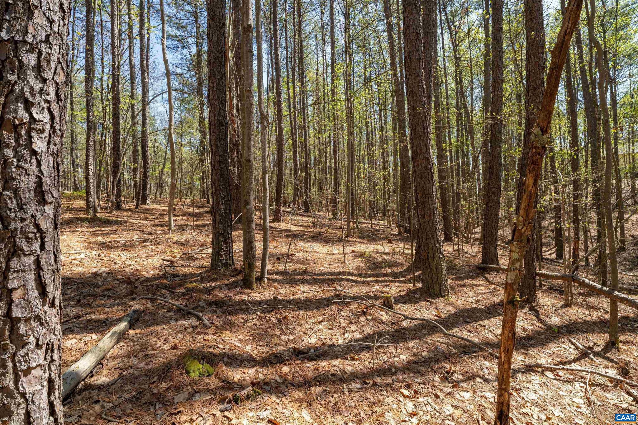 SADDLEWOOD FARMS - Land