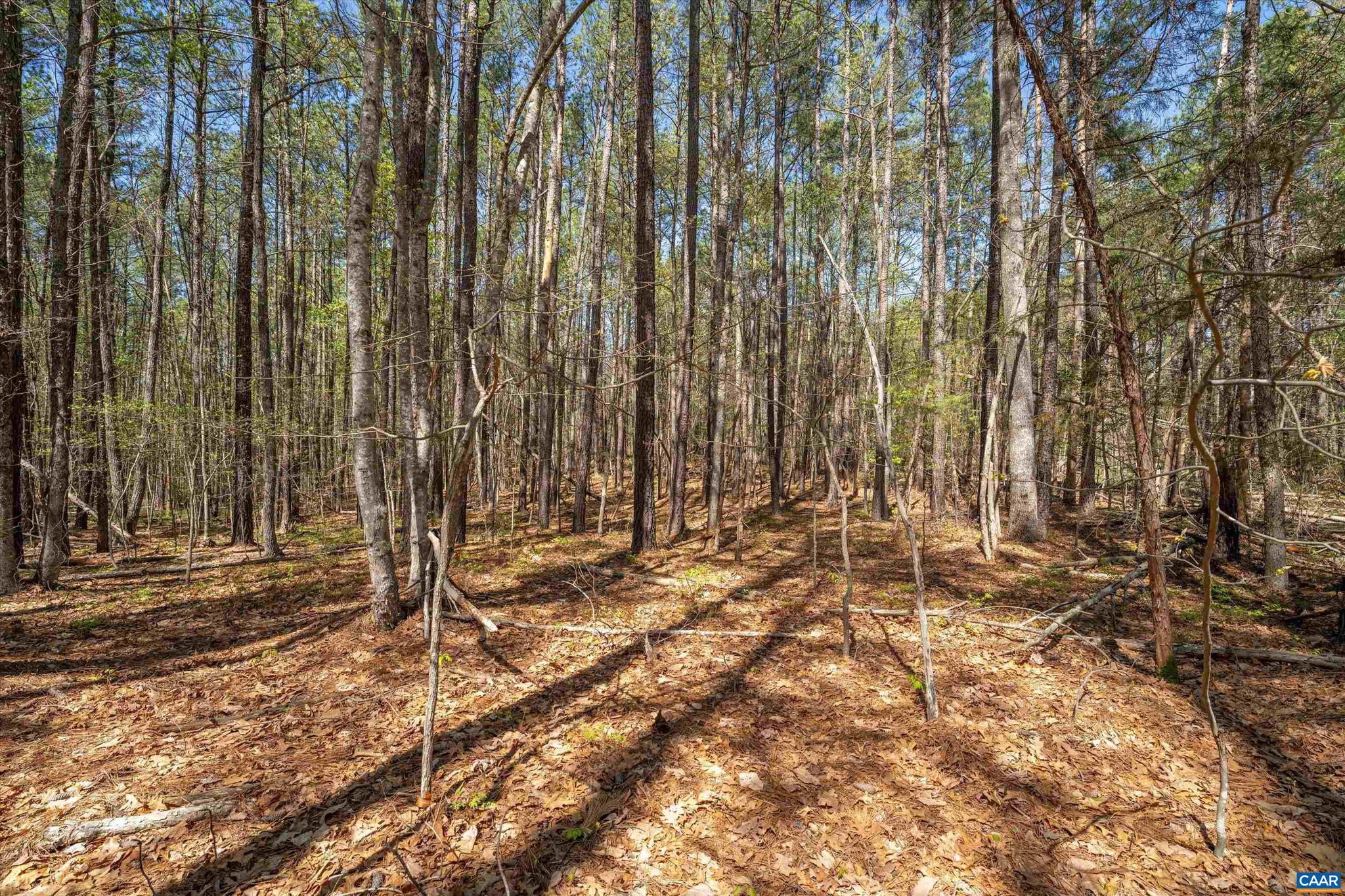 SADDLEWOOD FARMS - Land