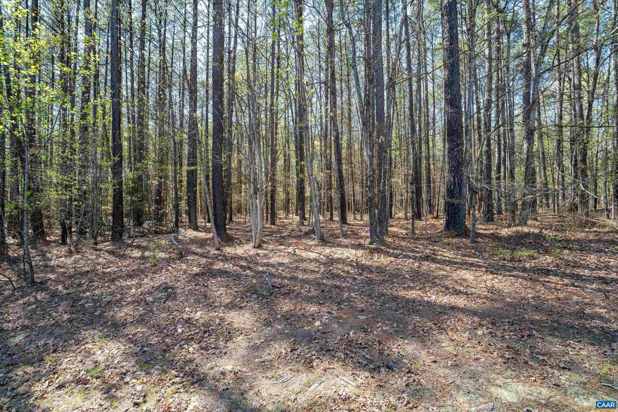 SADDLEWOOD FARMS - Land