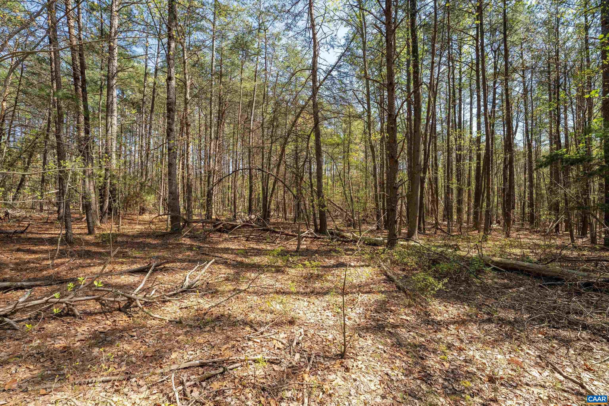 SADDLEWOOD FARMS - Land