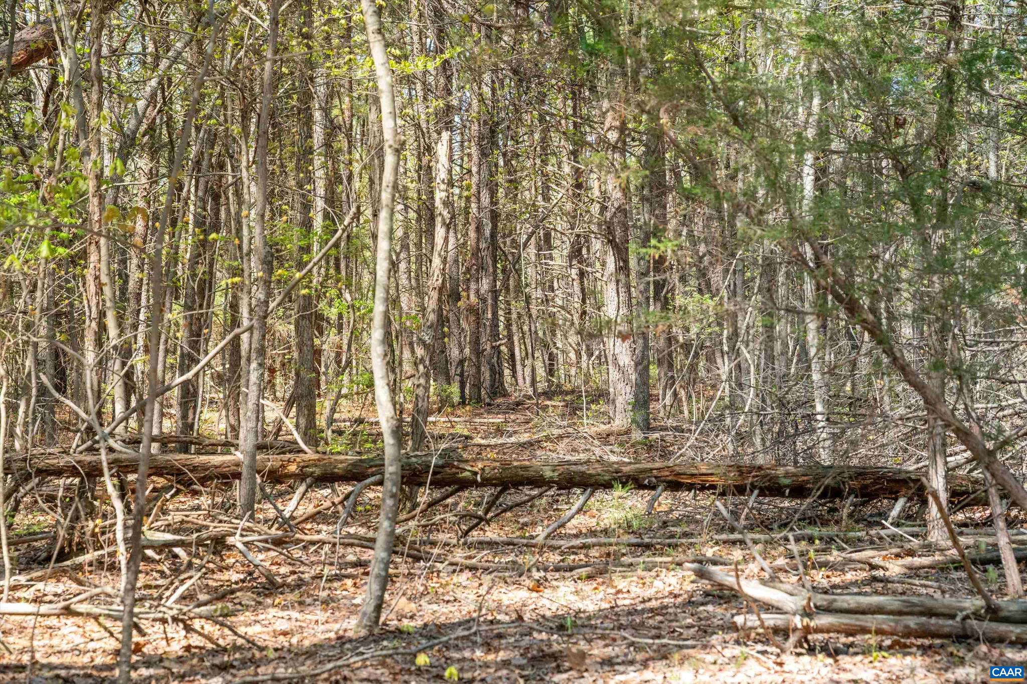 SADDLEWOOD FARMS - Land