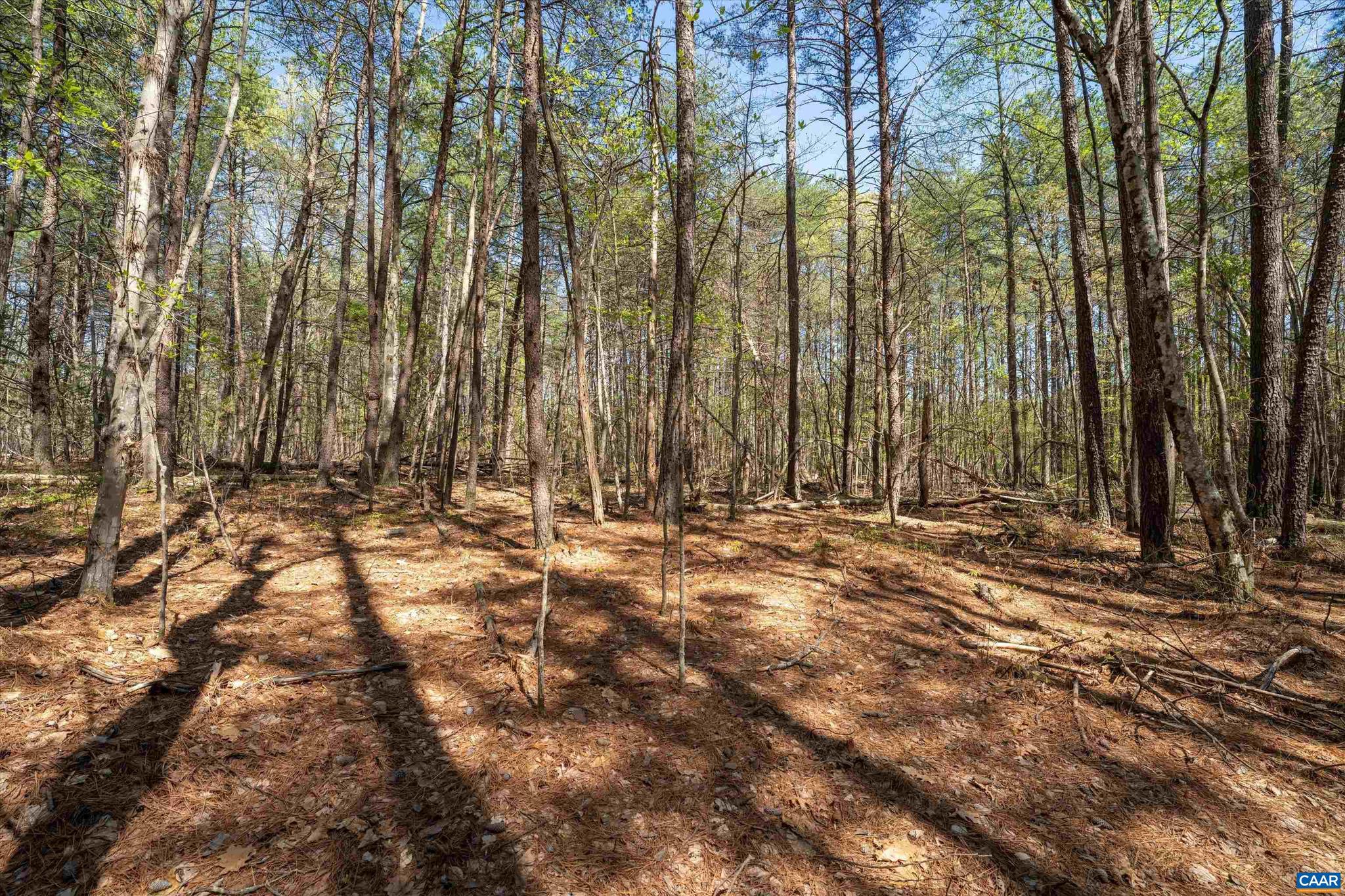 SADDLEWOOD FARMS - Land