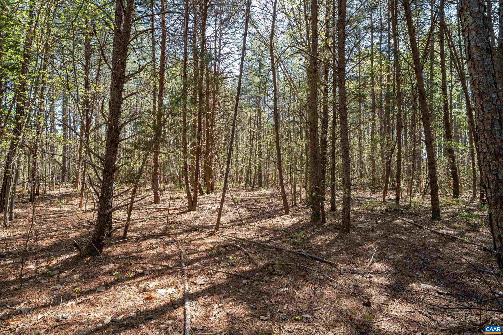 SADDLEWOOD FARMS - Land