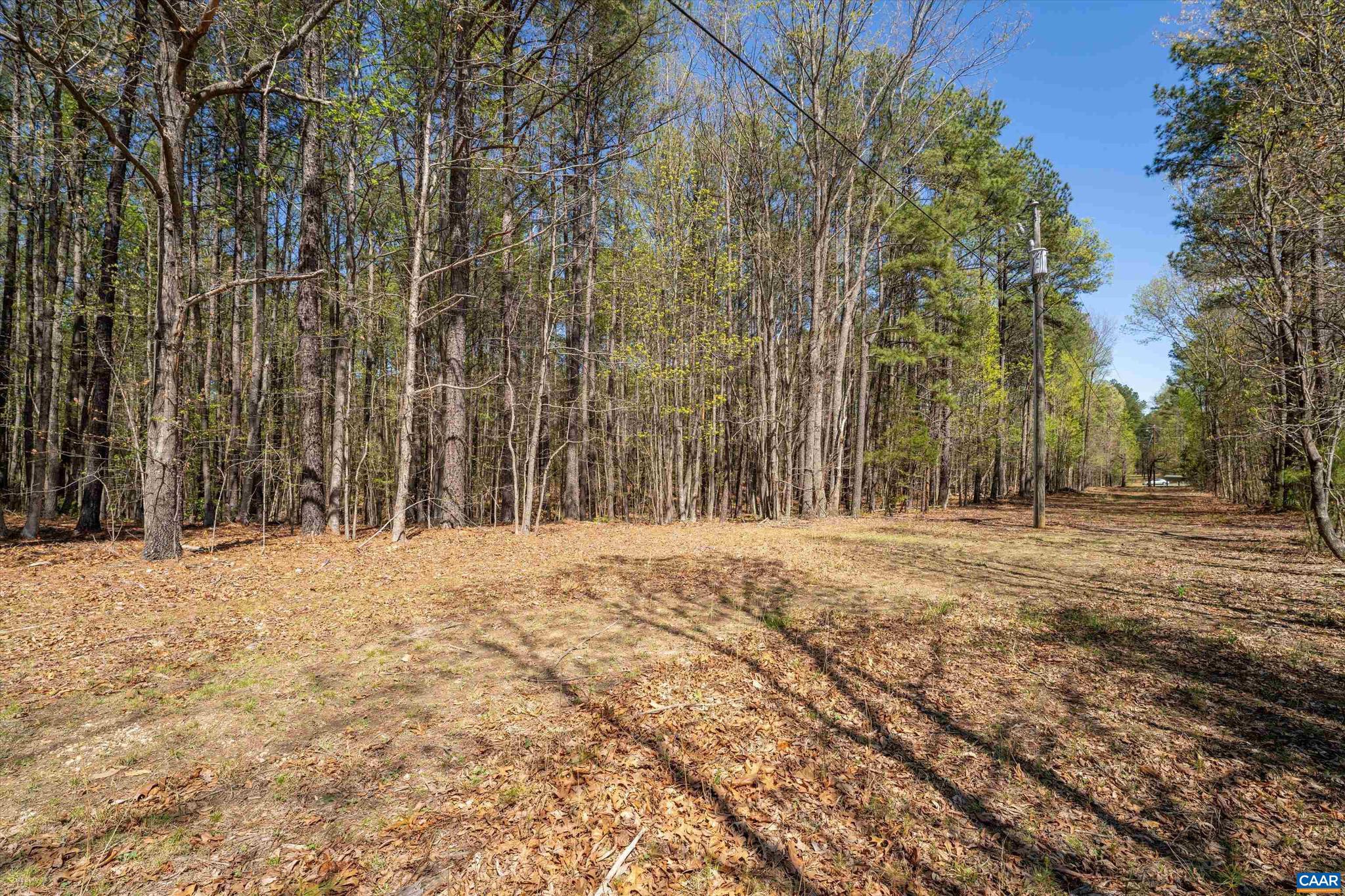 SADDLEWOOD FARMS - Land