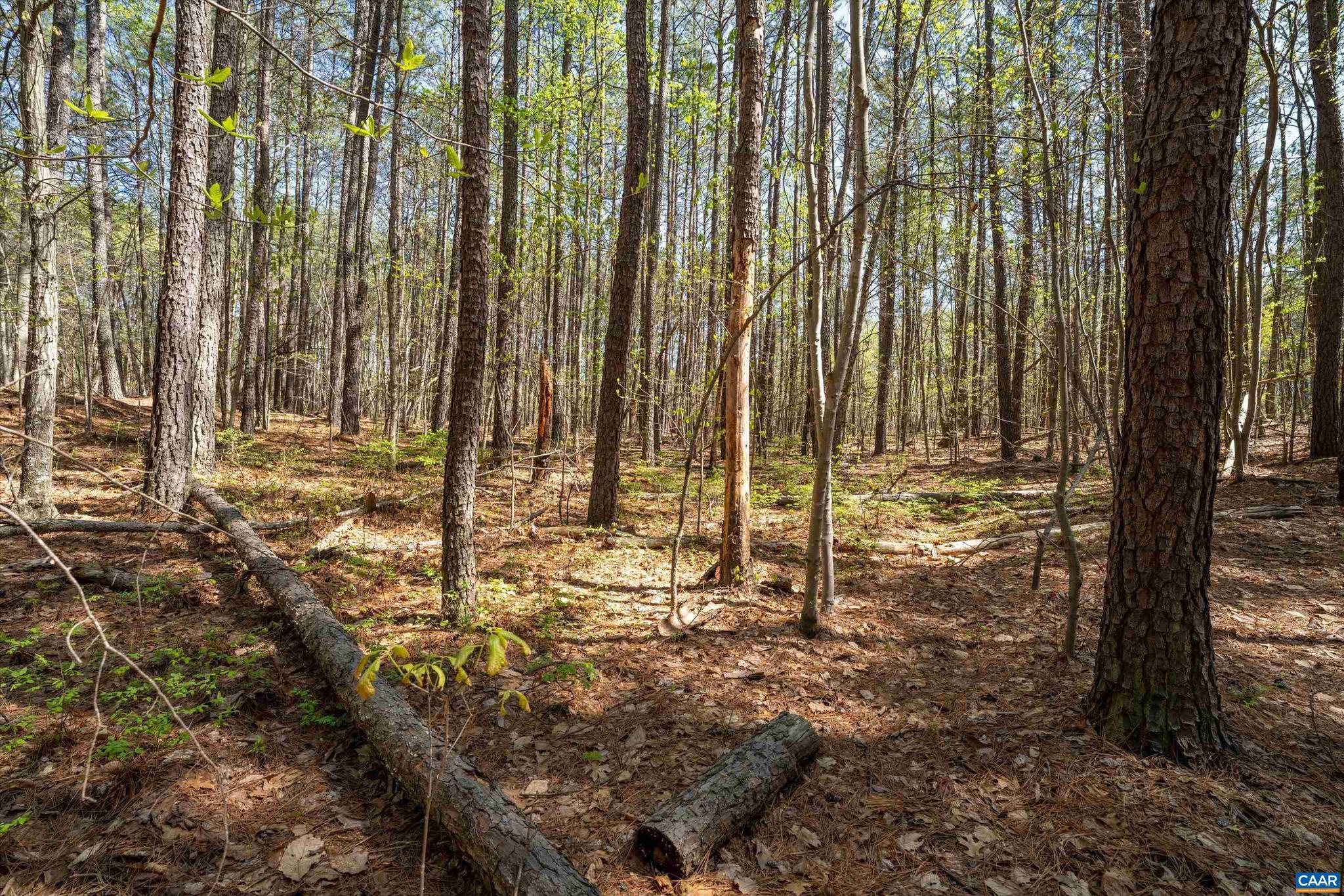 SADDLEWOOD FARMS - Land