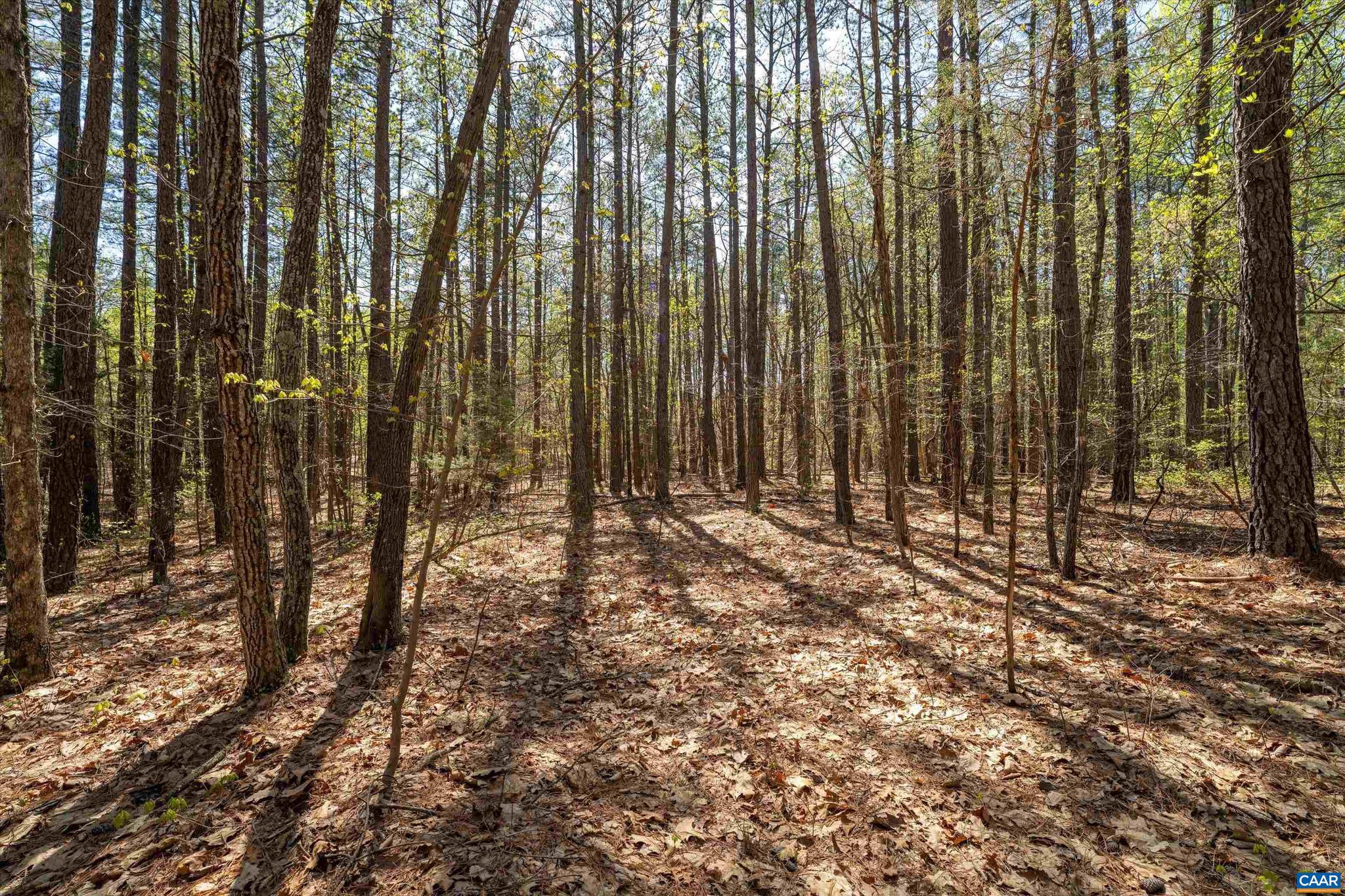 SADDLEWOOD FARMS - Land