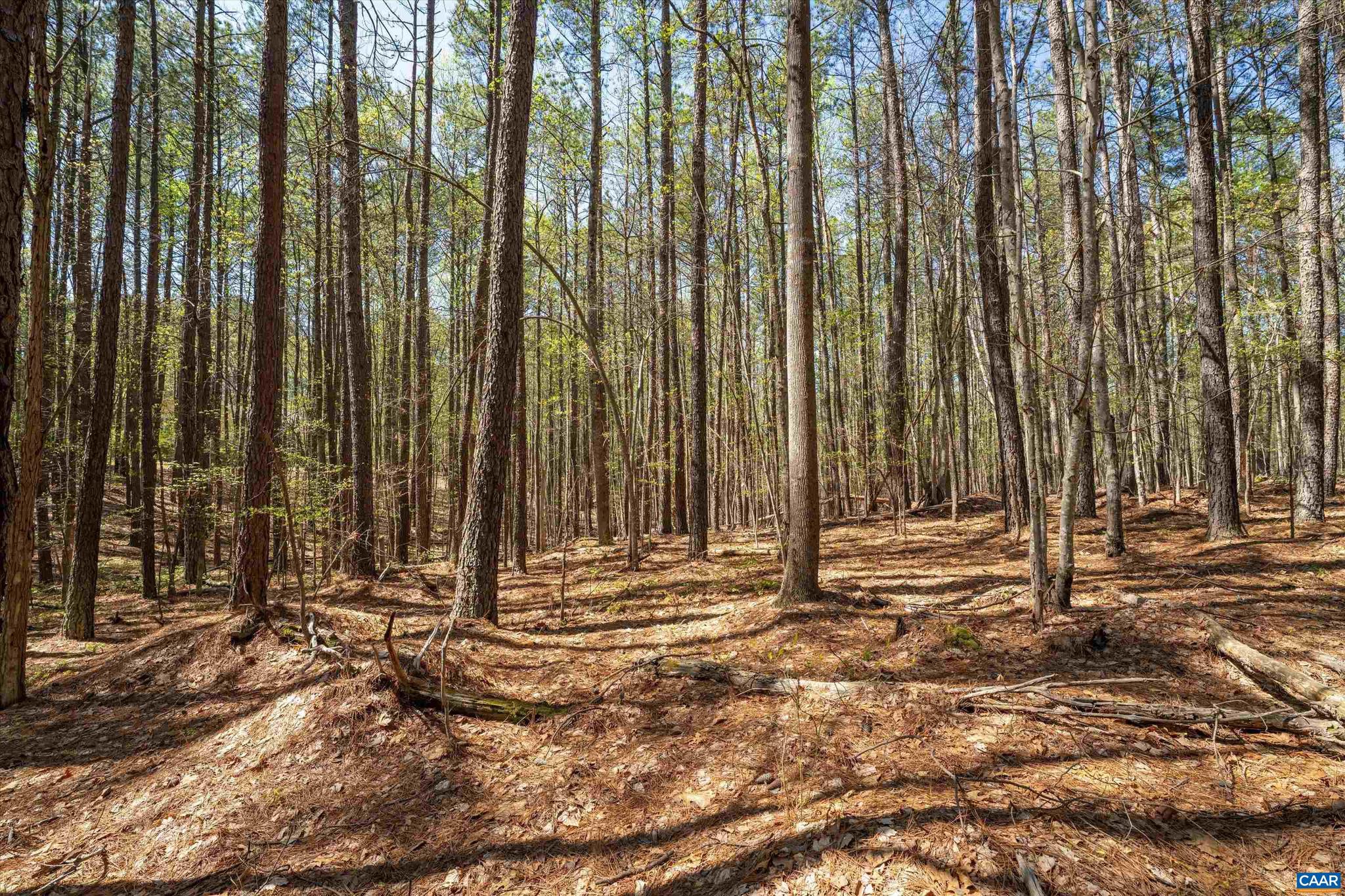 SADDLEWOOD FARMS - Land