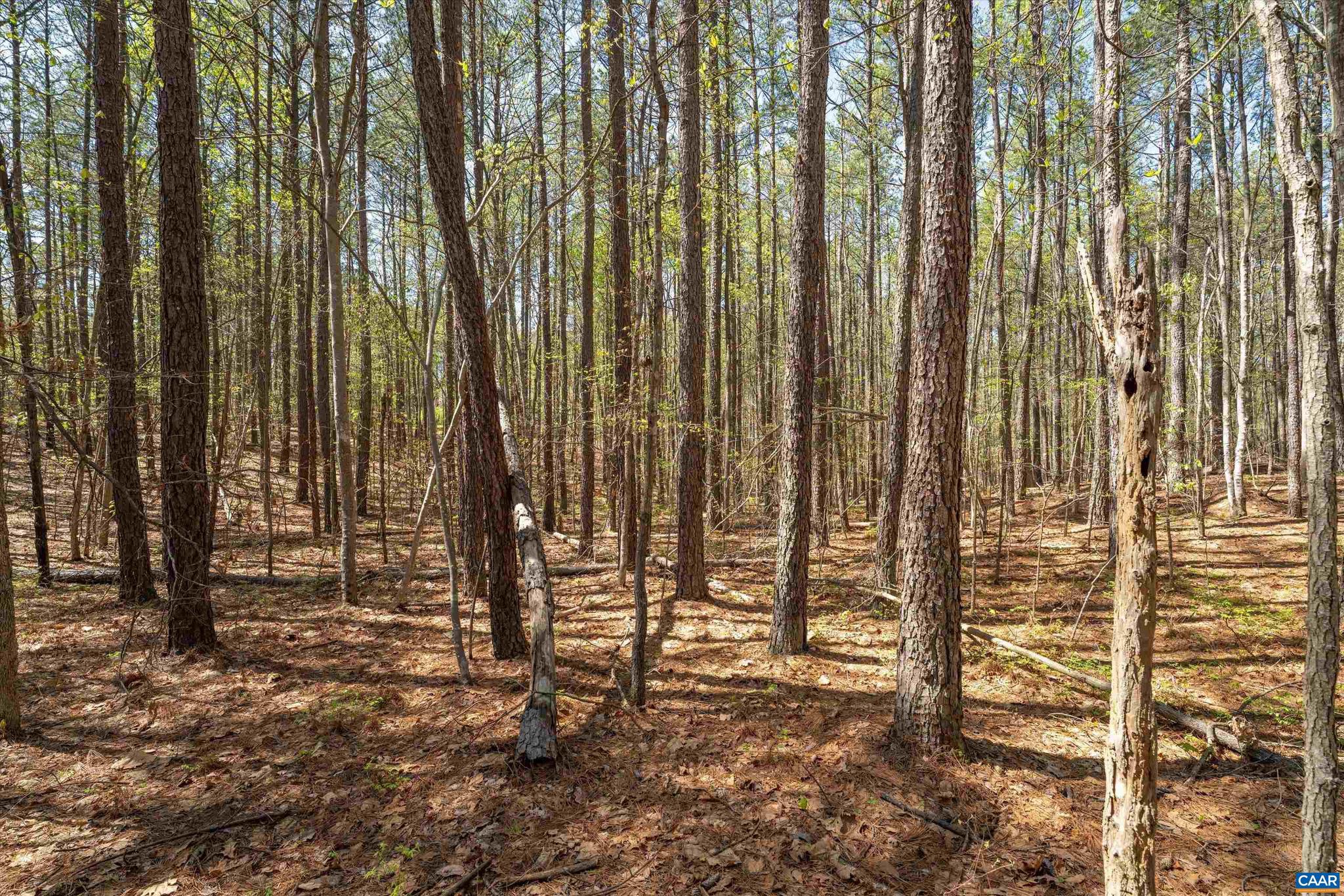 SADDLEWOOD FARMS - Land