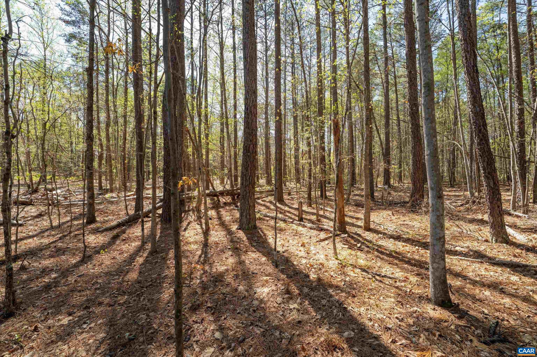 SADDLEWOOD FARMS - Land